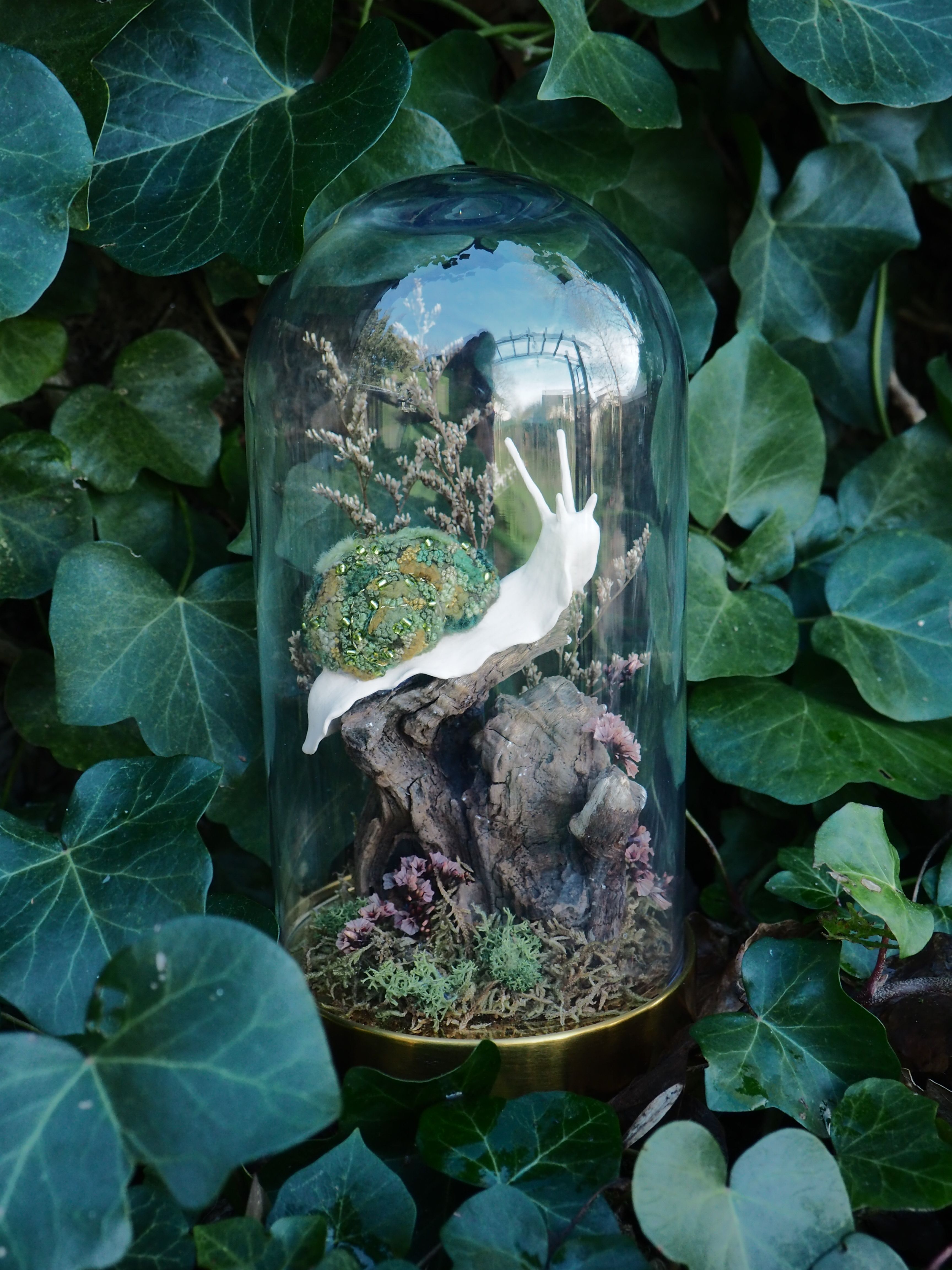 L'image présente une cloche en verre, ou dôme, abritant une scène miniature de nature, posée au milieu d'un feuillage vert luxuriant, probablement du lierre. À l'intérieur de la cloche, on peut voir une figurine de limace ou d'escargot, de couleur blanche avec une coquille texturée et colorée, principalement verte avec des touches de jaune et de marron. L'escargot est posé sur ce qui semble être un morceau de bois flotté ou une branche d'arbre, qui sert de support central à la composition. Autour de la base de ce support, il y a de la mousse verte et d'autres petites plantes ou éléments décoratifs de couleur pourpre ou marron clair, créant un petit écosystème. La cloche en verre est transparente et reflète légèrement l'environnement, notamment le feuillage environnant et peut-être une source de lumière au-dessus. La base de la cloche est dorée ou en laiton, ajoutant une touche d'élégance. L'ensemble de la scène est entouré de feuilles de lierre vert foncé, certaines en premier plan sont légèrement floues, ce qui met en valeur la cloche et son contenu. La lumière semble naturelle et douce, créant une ambiance sereine et un peu mystérieuse.