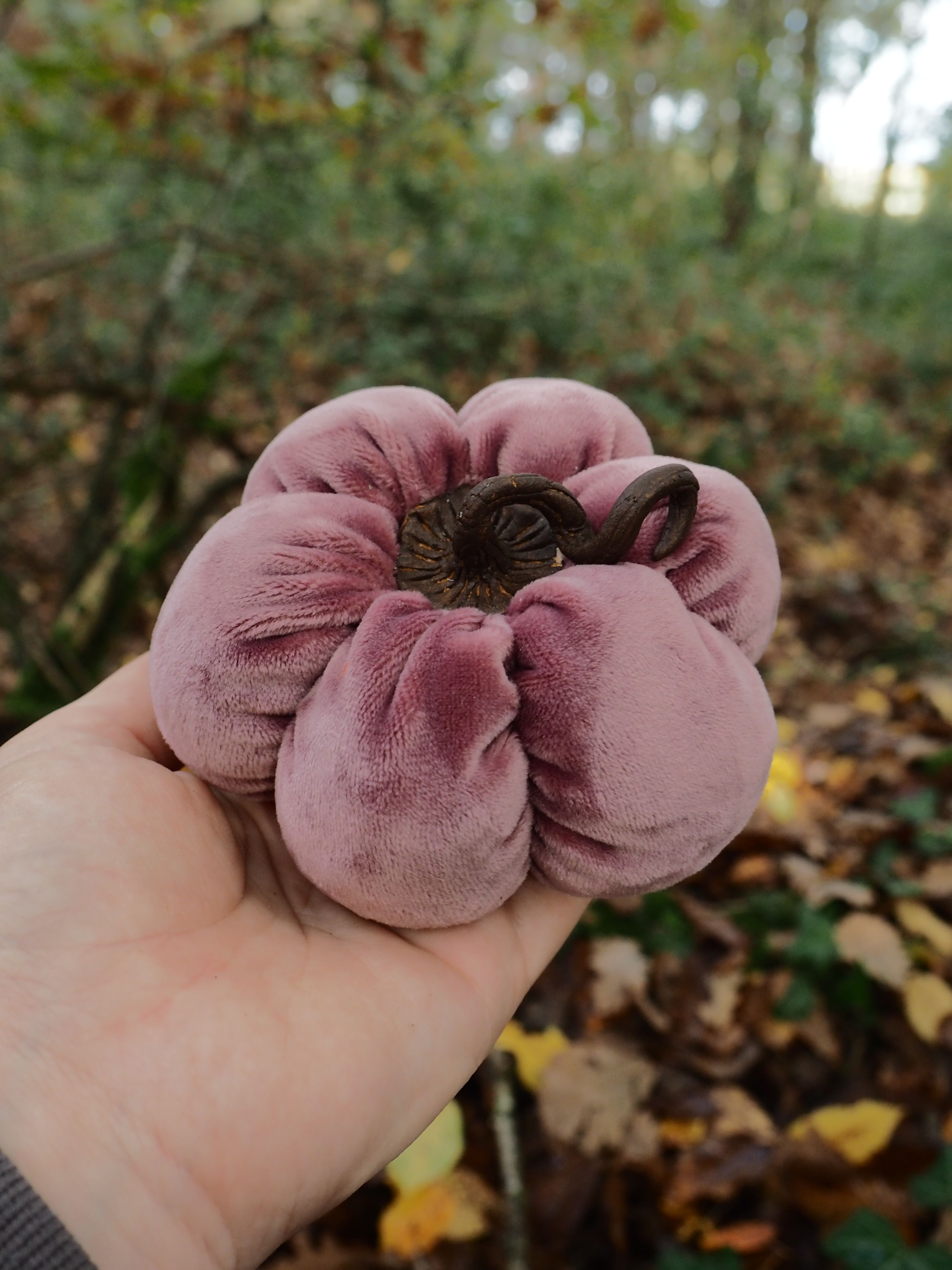 Cette image montre une main tenant délicatement ce qui semble être de très jeunes animaux nouveau-nés, probablement des bébés lapins ou des rongeurs. Les petits sont nus, sans poils, avec une peau rosée caractéristique des nouveau-nés de mammifères. Ils sont blottis les uns contre les autres dans la paume de la main, formant un petit groupe compact. L'arrière-plan présente un environnement naturel automnal avec des feuilles mortes au sol dans des tons dorés et bruns, et une végétation floue qui suggère un cadre extérieur boisé. La lumière naturelle filtrée crée une atmosphère douce et chaleureuse. Cette scène évoque la fragilité de la vie naissante et le soin attentionné apporté à ces très jeunes créatures. La composition met l'accent sur le contraste entre la délicatesse des nouveau-nés et la protection offerte par la main humaine qui les abrite.
