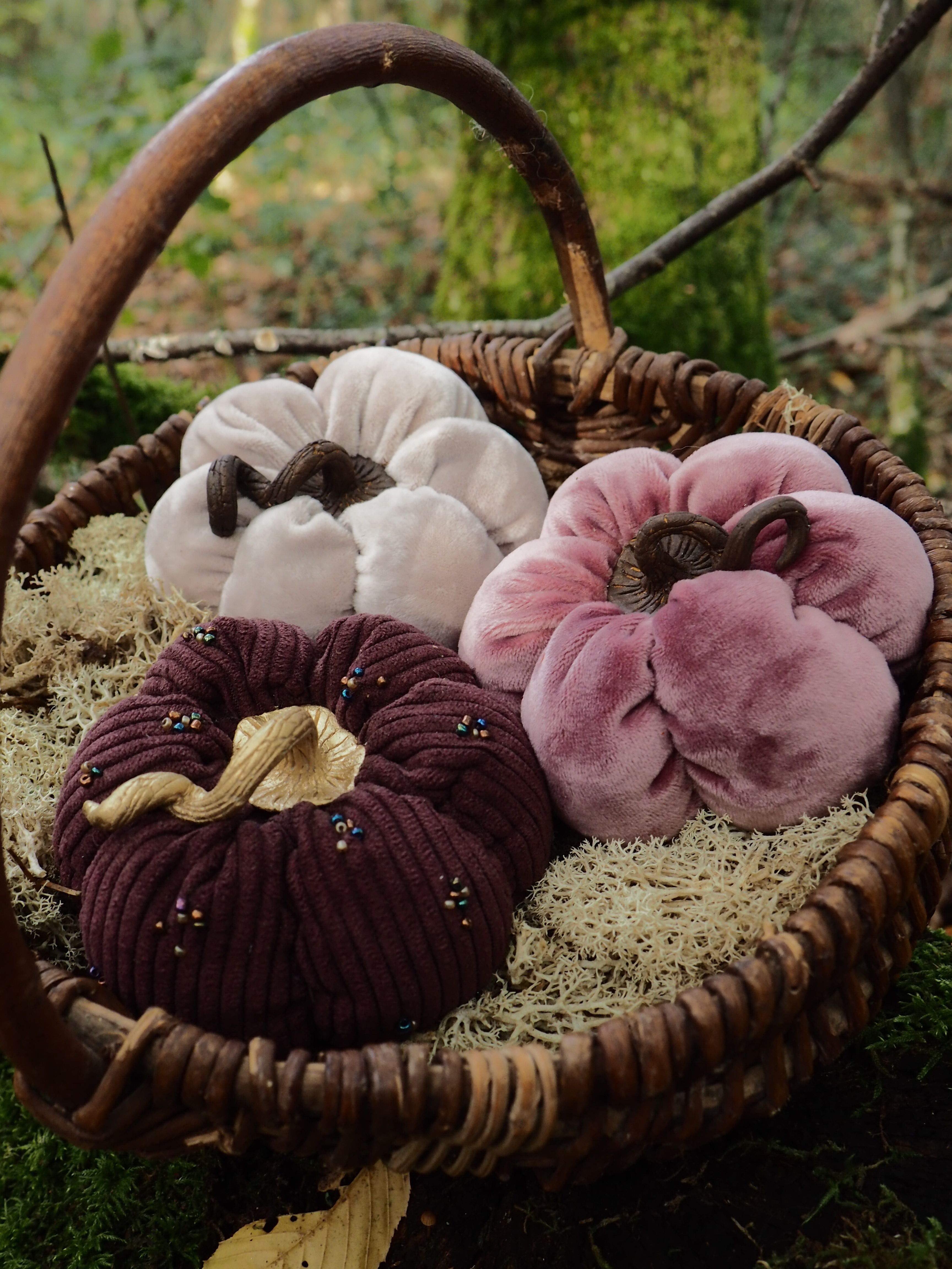 Cette image présente un panier en osier tressé contenant une collection de chouchous (élastiques à cheveux) disposés de manière artistique dans un environnement naturel. **Détails de la composition :** - **Le panier** : En osier naturel avec une anse arquée, de style rustique et artisanal
- **Les chouchous** : Trois pièces aux couleurs distinctes :
  - Un blanc/crème aux plis délicats
  - Un rose poudré aux tons doux
  - Un bordeaux/prune foncé avec des détails dorés brillants **L'environnement :**
- Sol recouvert de mousse verte naturelle
- Quelques feuilles dorées éparpillées ajoutant une touche automnale
- Éclairage naturel doux créant une ambiance chaleureuse
- Arrière-plan flou avec de la végétation **Style photographique :**
La mise en scène évoque une esthétique "cottagecore" ou champêtre, mettant en valeur ces accessoires de mode dans un cadre naturel et romantique. La composition soignée et les couleurs harmonieuses créent une image à la fois commerciale et artistique, idéale pour présenter ces produits textiles de manière attrayante.