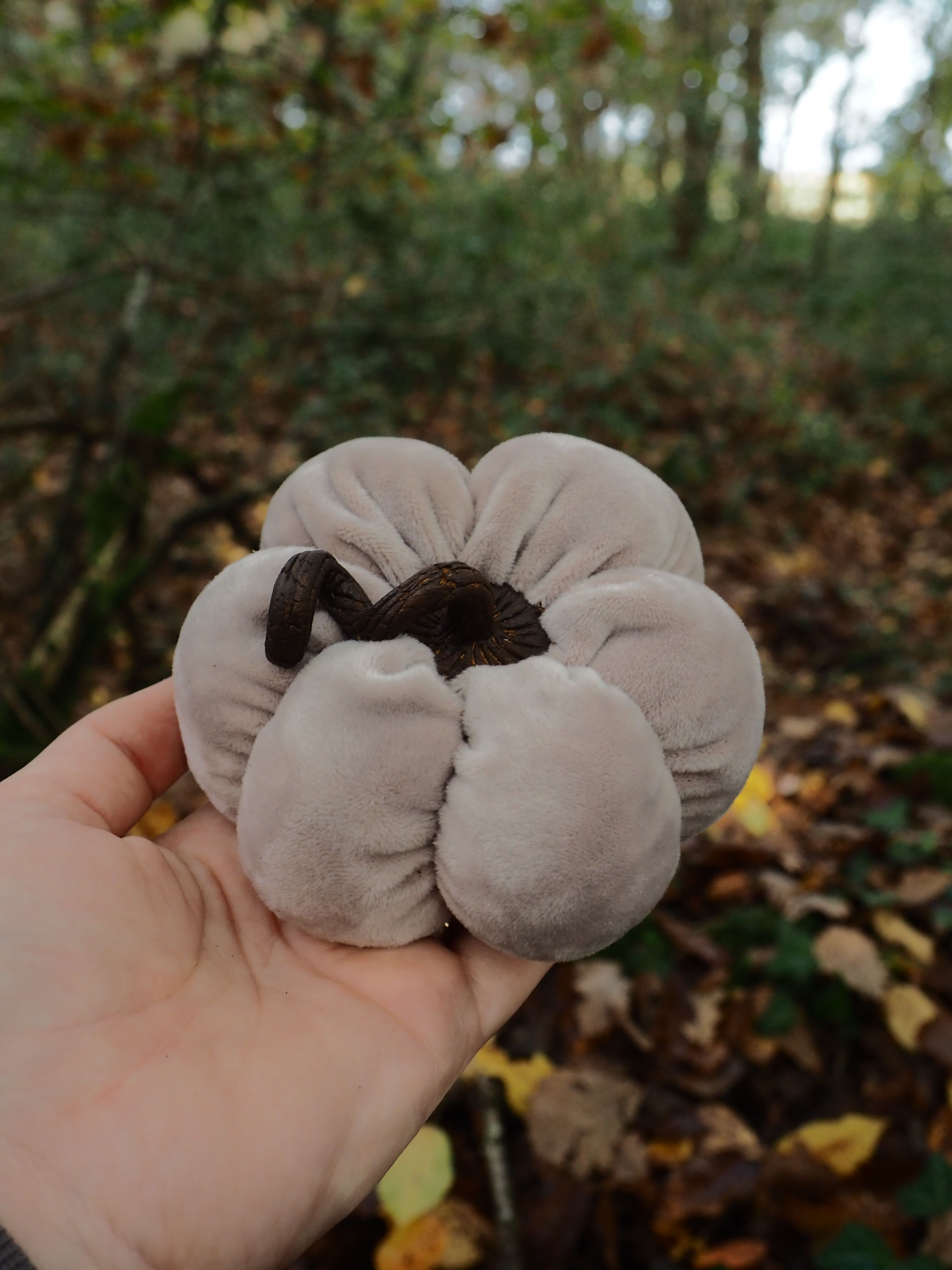 Cette image montre une main tenant un champignon de forme très particulière et inhabituelle. Le champignon présente une structure lobée qui ressemble étonnamment à une fleur ou à un cerveau, avec des plis et des circonvolutions caractéristiques. Sa couleur est d'un brun grisâtre uniforme. L'arrière-plan révèle un environnement forestier naturel avec de la végétation floue, des feuilles au sol et un éclairage tamisé filtrant à travers les arbres, créant une atmosphère typique d'un sous-bois. Ce type de champignon aux formes ondulées et plissées pourrait appartenir à la famille des champignons gélatineux ou des espèces à texture particulière que l'on trouve couramment dans les environnements forestiers humides. La façon dont il est présenté dans la paume de la main permet d'apprécier sa taille relativement modeste et sa texture unique. L'image capture bien l'aspect mystérieux et fascinant du monde fongique, avec ses formes organiques surprenantes qui peuvent parfois évoquer d'autres structures naturelles.