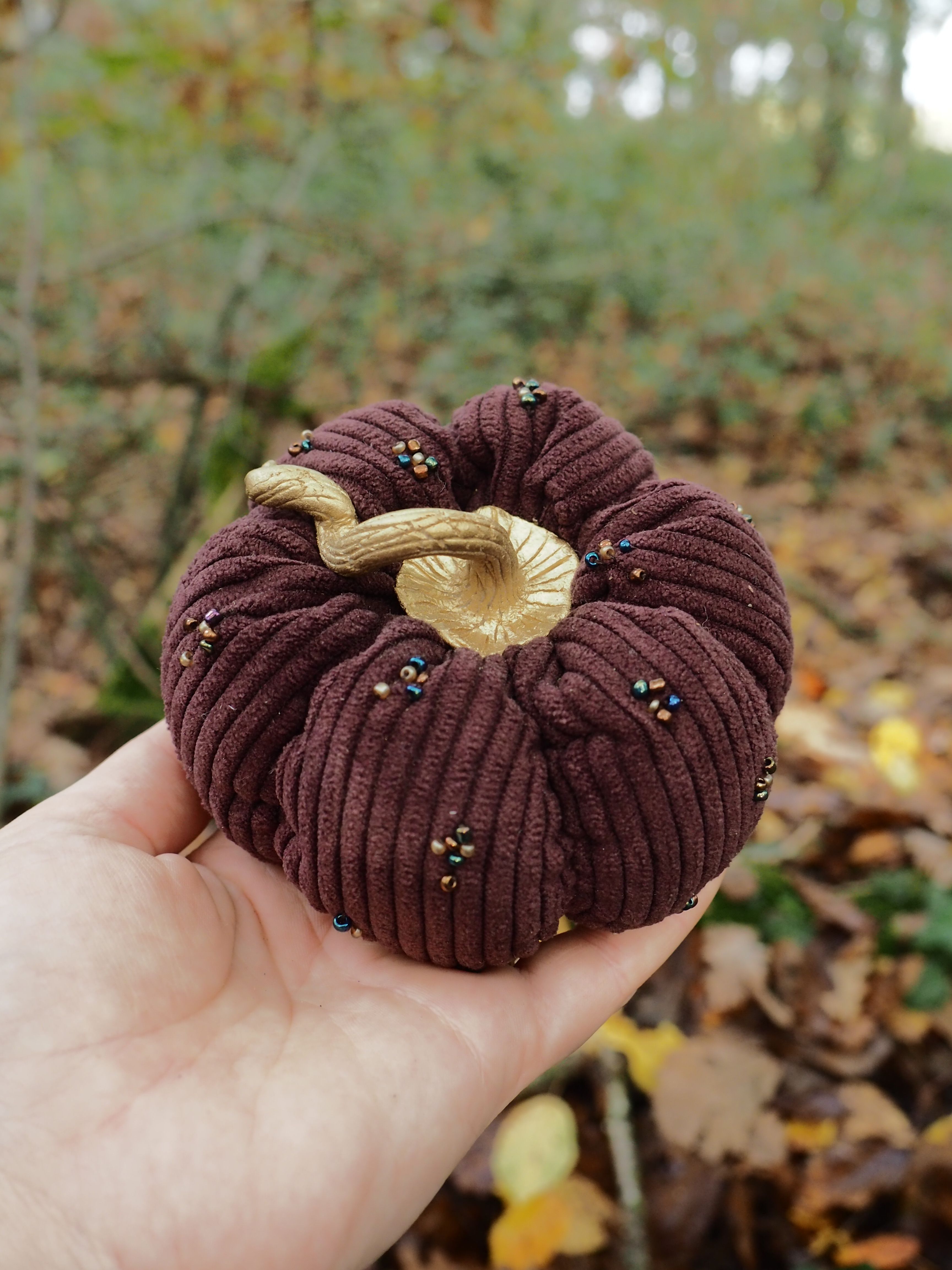 Cette image montre une main tenant délicatement un champignon particulièrement remarquable. Il s'agit d'un champignon aux lamelles très distinctives, de couleur brun foncé à bordeaux, disposées de manière radiale et régulière sous le chapeau. Ces lamelles présentent une texture striée très prononcée qui donne au champignon un aspect presque textile, rappelant du velours côtelé. Le chapeau du champignon a une forme légèrement concave au centre, avec un pied de couleur plus claire, beige à crème. La surface présente quelques petites particules ou débris, probablement de la terre ou des résidus végétaux de son environnement naturel. L'arrière-plan révèle un setting forestier typique avec un sol jonché de feuilles mortes aux teintes automnales - jaunes, brunes et orangées - et une végétation floue qui suggère un sous-bois. L'éclairage naturel met bien en valeur les détails du champignon, créant un contraste saisissant entre le spécimen et son environnement. Cette photographie capture parfaitement la beauté naturelle et la complexité structurelle de ce champignon, probablement pris lors d'une sortie mycologique en forêt.