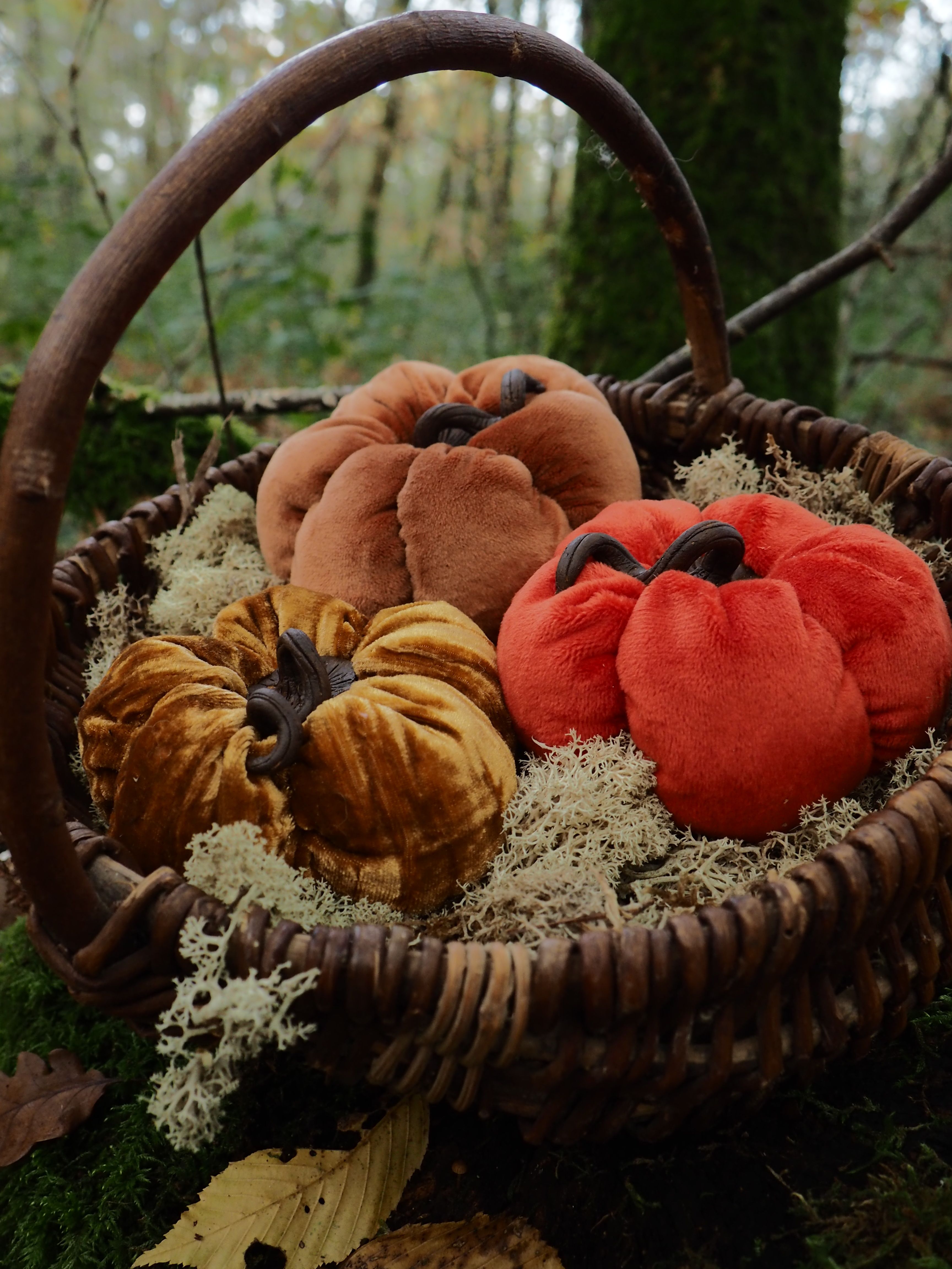 Cette image présente une charmante composition automnale dans un cadre naturel forestier. Au centre, on voit un panier en osier tressé avec une anse arquée, posé sur ce qui semble être un tronc d'arbre recouvert de mousse verte. Le panier contient plusieurs citrouilles décoratives en tissu ou en velours dans des tons chauds d'automne :
- Des citrouilles orange traditionnelles
- Des citrouilles dans des teintes brun-rouille
- Une citrouille rouge-orange plus vive
- Quelques petites courges rayées jaune et brun Le panier est également garni de mousse décorative qui déborde légèrement, ajoutant une texture naturelle à l'ensemble. L'arrière-plan montre une forêt aux tons dorés et verts, avec un feuillage automnal qui crée une atmosphère douce et tamisée. Cette mise en scène évoque parfaitement l'esprit de l'automne et des fêtes comme Halloween ou Thanksgiving, avec ses couleurs chaudes et son ambiance rustique et naturelle.