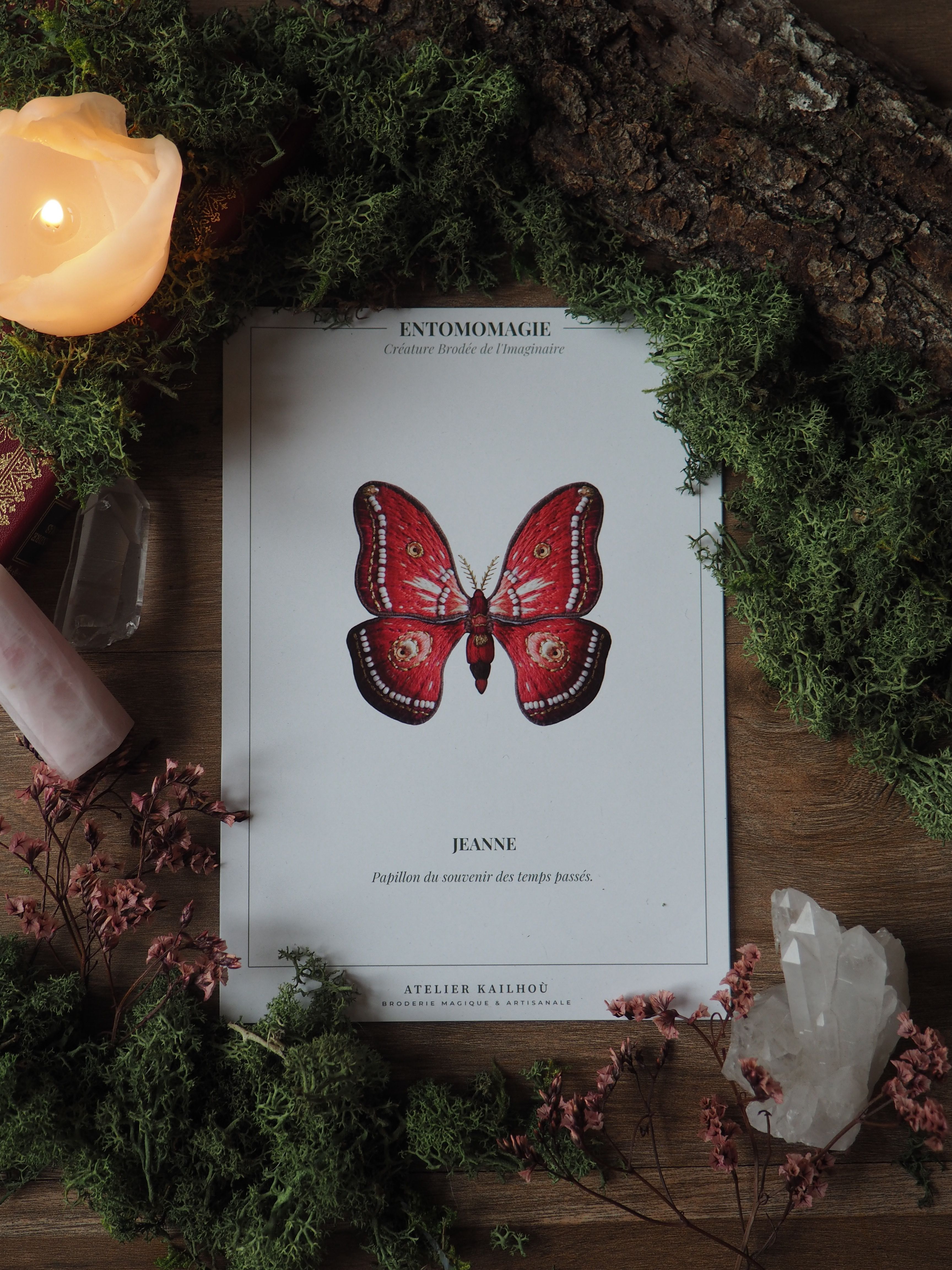 L'image montre une composition artistique centrée autour d'un livre ou d'une illustration intitulée "Entomomagie". Le livre présente une belle illustration d'un papillon rouge vif nommé "Jeanne".  Autour du livre, on trouve divers éléments naturels créant une ambiance mystique et forestière :
- De la mousse verte et des brindilles entourent le livre
- Une bougie allumée de couleur pêche est visible dans le coin supérieur gauche
- Des cristaux, notamment un cristal de quartz blanc, sont disposés autour
- On aperçoit également ce qui semble être des fleurs séchées ou des petites baies rouges L'ensemble crée une atmosphère enchantée, comme si on découvrait un grimoire magique au cœur d'une forêt. Les couleurs dominantes sont le vert de la végétation, le rouge vif du papillon, et les tons chauds de la bougie, contrastant avec le fond sombre en bois. Cette mise en scène évoque un univers de magie naturelle, de secrets de la forêt, et une connexion entre le monde des insectes et celui de la magie ou de la spiritualité.