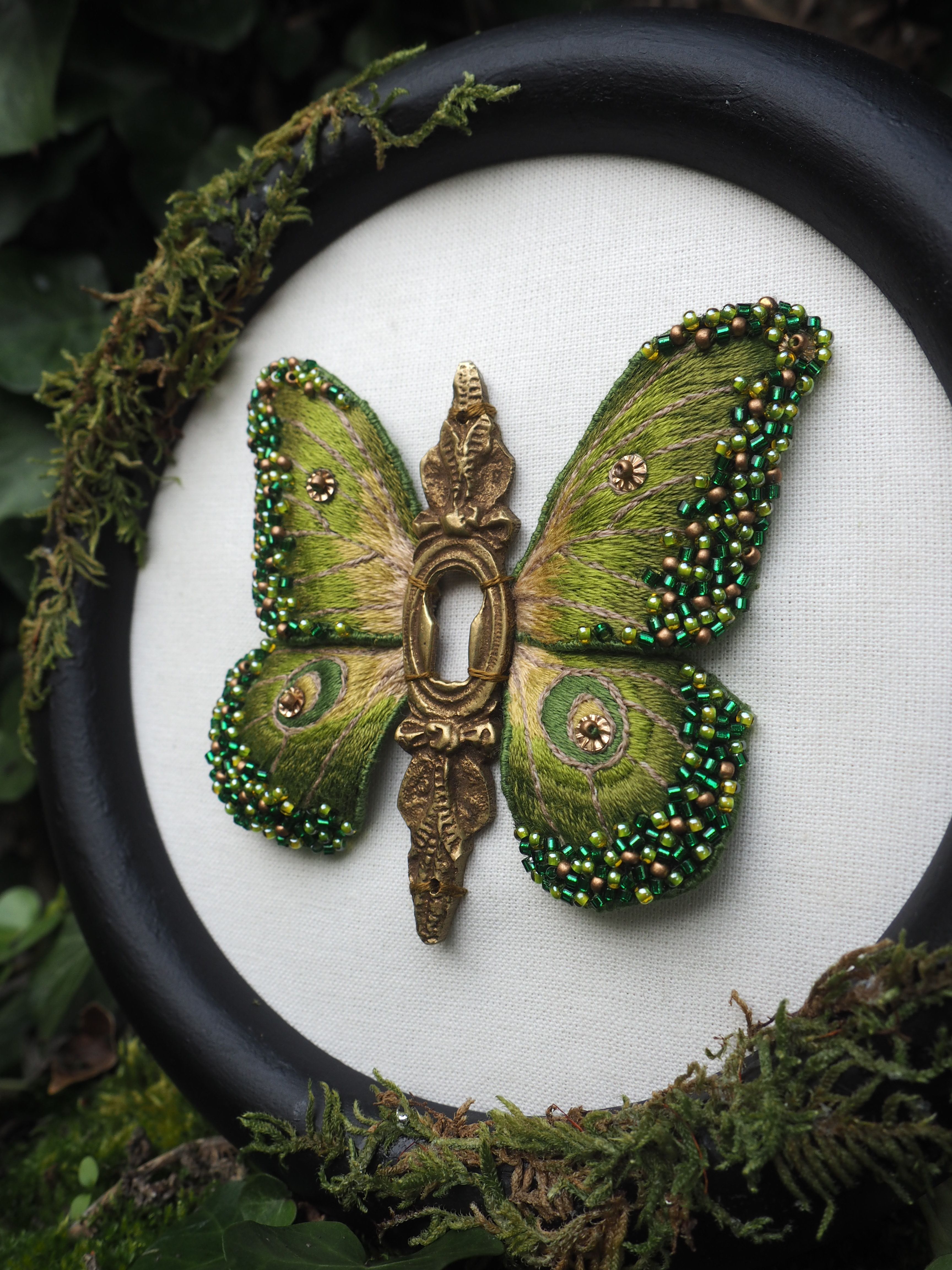 Pollinisateur, Insecte, Papillon, Arthropode, Usine, Créature mythique, Botanique, Papillons et mites, Organisme, Aile