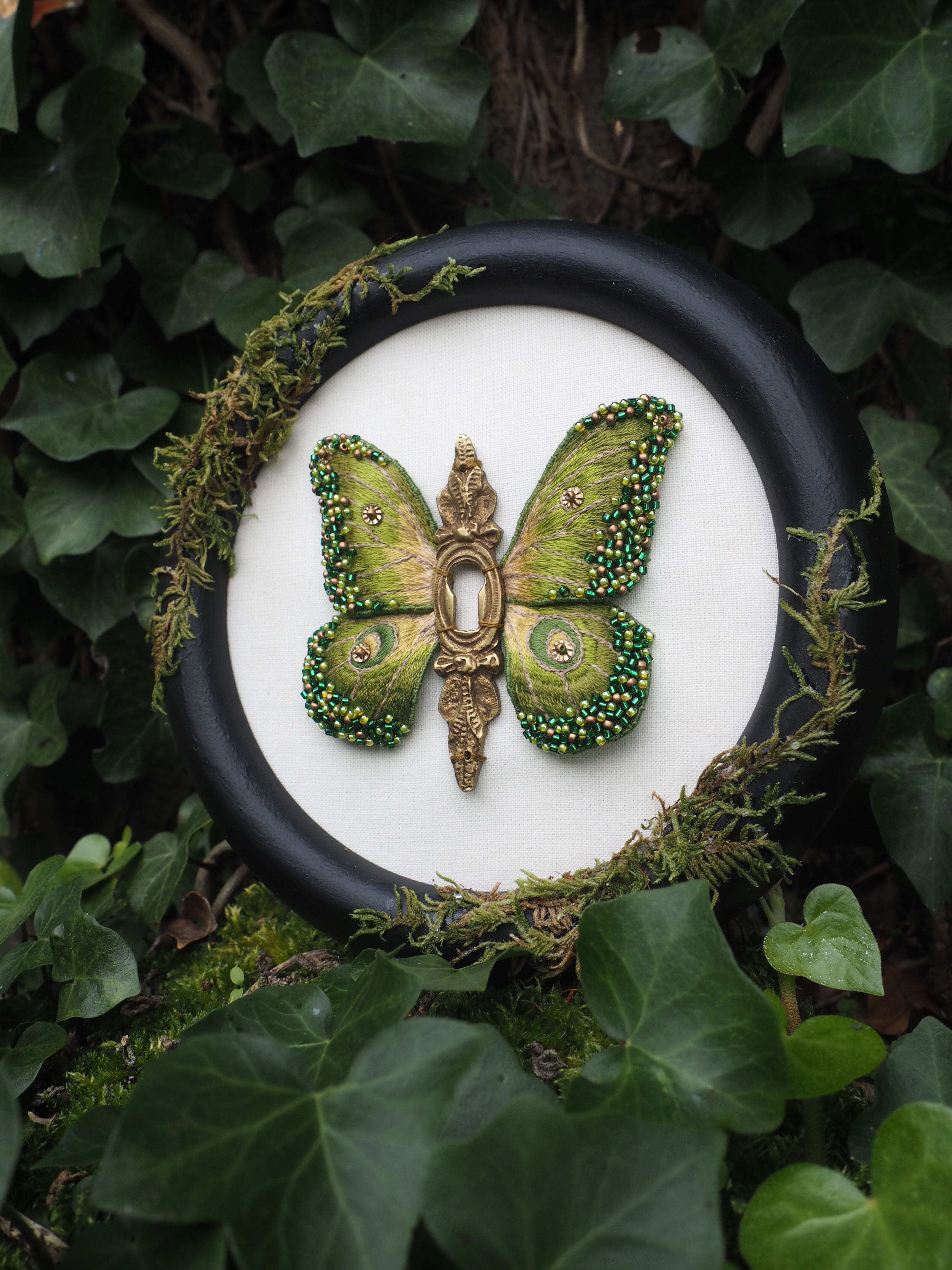 Pollinisateur, Insecte, Papillon, Arthropode, Feuille, Botanique, Papillons et mites, Aile, Usine, Plante terrestre