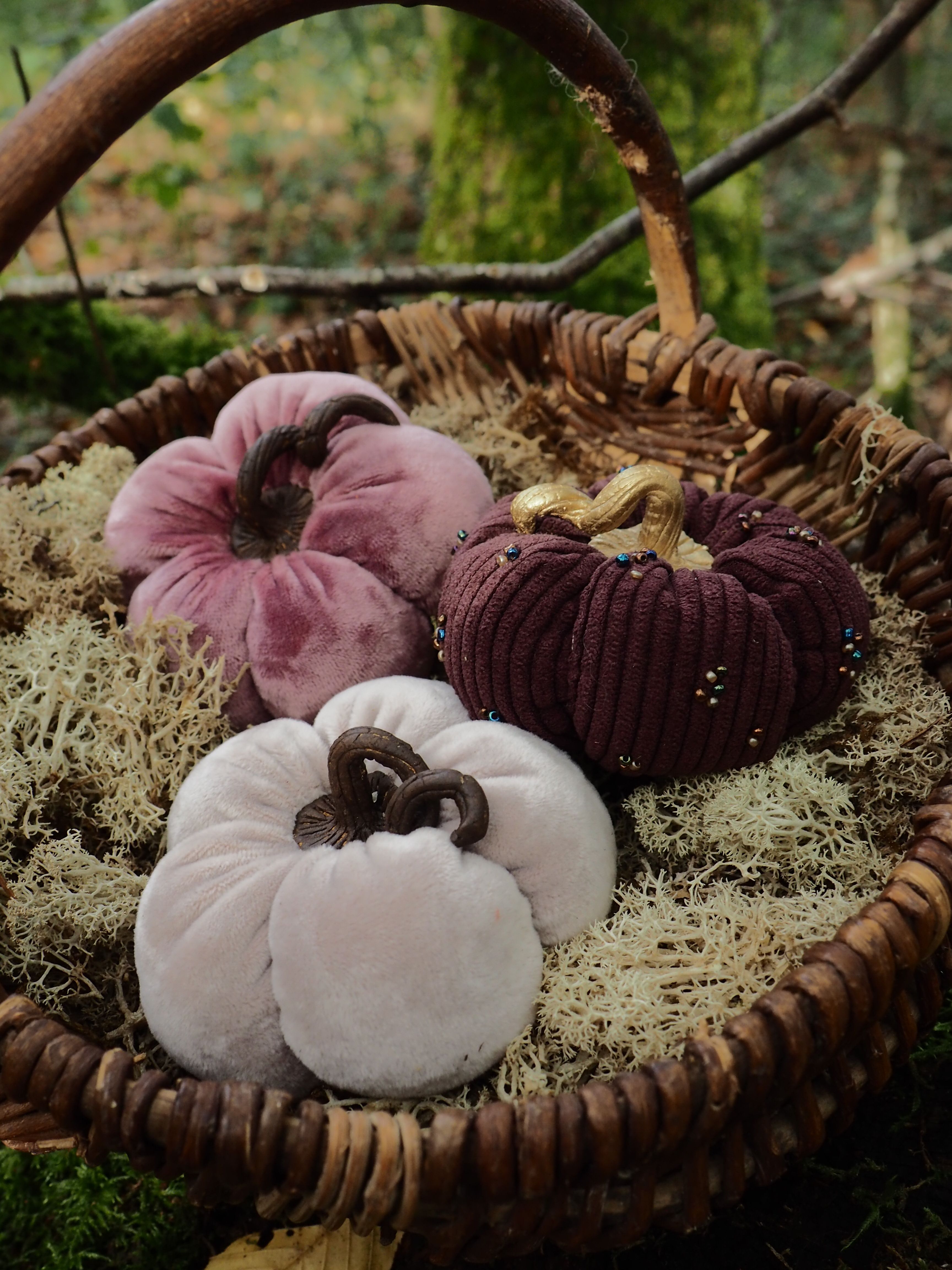 Cette image présente une composition automnale très décorative dans un panier en osier tressé. Le panier contient plusieurs courges ornementales de différentes couleurs et formes : - Une courge blanche au premier plan, de forme aplatie avec des côtes prononcées
- Une courge rose/mauve de forme similaire 
- Une courge bordeaux/violet foncé avec une texture côtelée
- Ce qui semble être une petite courge ou un fruit décoratif doré/jaune Le panier est posé sur ce qui paraît être de la mousse ou un matériau naturel texturé. L'arrière-plan est artistiquement flouté, laissant entrevoir de la verdure, ce qui crée une belle profondeur de champ. L'ensemble évoque parfaitement l'esprit de l'automne avec ses couleurs chaudes et ses éléments naturels. Cette mise en scène décorative pourrait être utilisée comme centre de table ou élément de décoration saisonnière. L'éclairage naturel met bien en valeur les différentes textures et couleurs des courges ainsi que le tressage du panier.