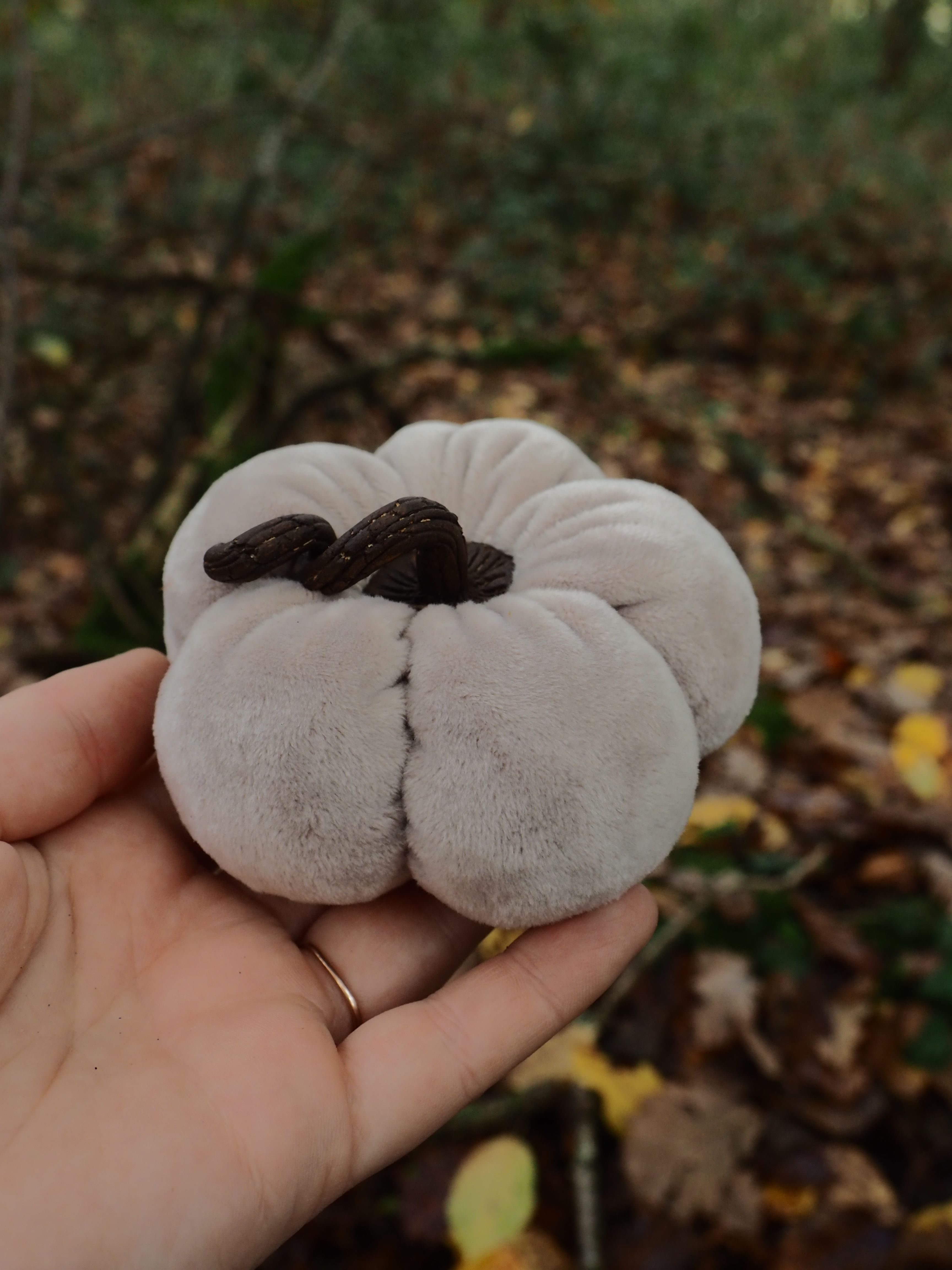 Cette image montre une main tenant un champignon blanc de forme particulière. Le champignon présente une structure lobée et ondulée, avec une surface lisse et claire de couleur blanc cassé à grisâtre. Au centre, on peut observer une zone plus sombre, presque noire, qui contraste avec le reste du champignon. La forme du champignon est très distinctive - il ressemble à des lobes ou des pétales arrondis qui se rejoignent, créant une apparence quelque peu cérébrale ou coral-like. Cette morphologie suggère qu'il pourrait s'agir d'un champignon de la famille des champignons gélatineux ou d'une espèce particulière de champignon des bois. L'arrière-plan montre un environnement forestier naturel avec des feuilles mortes au sol et une végétation floue, ce qui indique que le champignon a probablement été trouvé dans son habitat naturel. La main qui le tient permet d'apprécier sa taille, qui semble être de quelques centimètres de diamètre. La texture du champignon paraît lisse et potentiellement gélatineuse, caractéristique de certaines espèces de champignons sauvages.