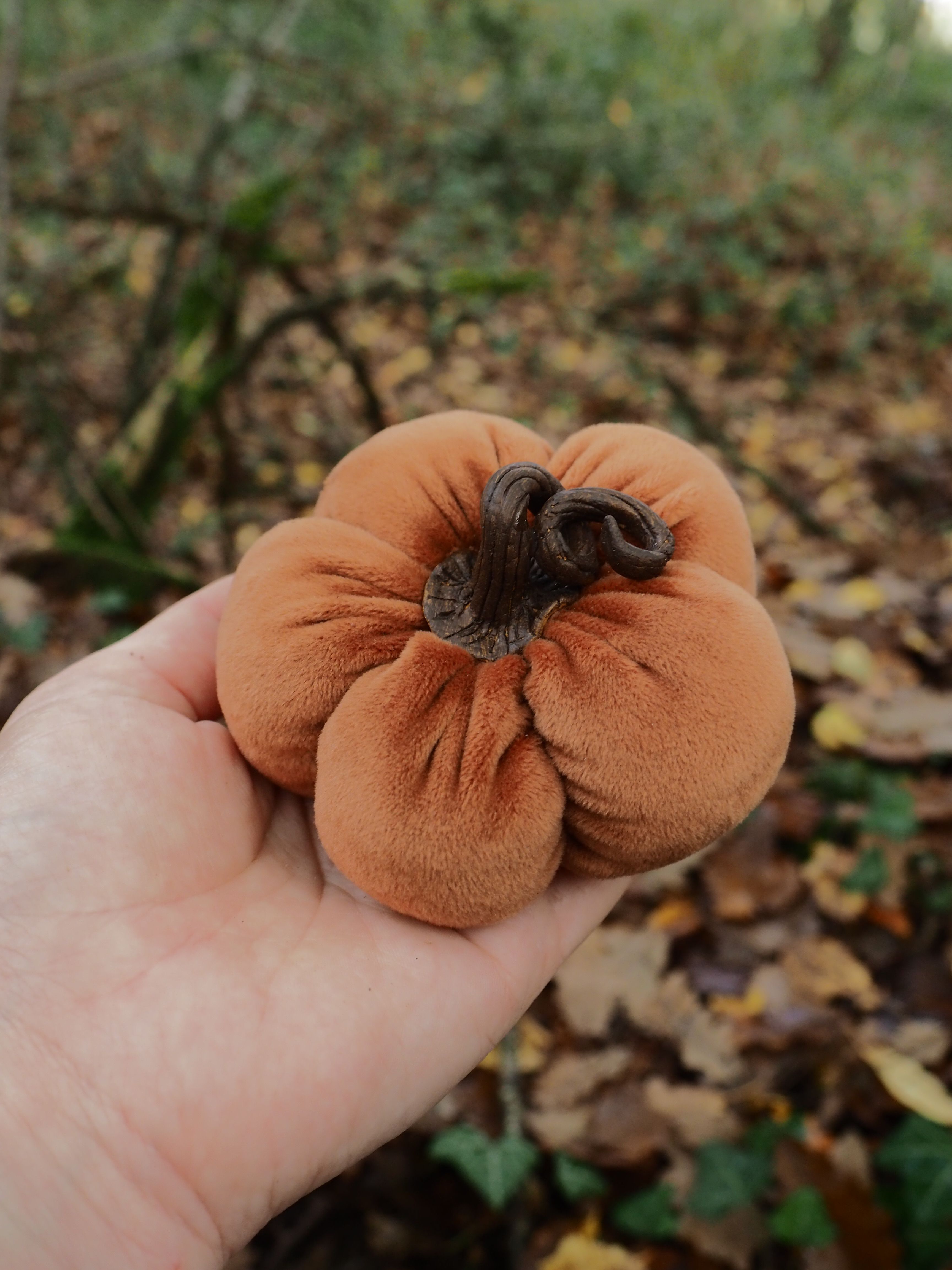 Cette image montre une main tenant délicatement un champignon de couleur orange-brun dans un environnement forestier. Le champignon présente une forme caractéristique avec plusieurs lobes arrondis qui lui donnent un aspect lobé ou ondulé, typique de certaines espèces de champignons sauvages. L'arrière-plan révèle un sol forestier naturel couvert de feuilles mortes dans des tons bruns et dorés, avec quelques touches de végétation verte visible. L'éclairage naturel met en valeur la texture veloutée du champignon et crée une atmosphère automnale typique de la saison de cueillette des champignons. La composition de l'image, avec la main au premier plan tenant le spécimen, suggère une découverte lors d'une promenade en forêt ou d'une session de mycologie amateur. La couleur chaude du champignon contraste harmonieusement avec les tons plus neutres de l'environnement forestier environnant.