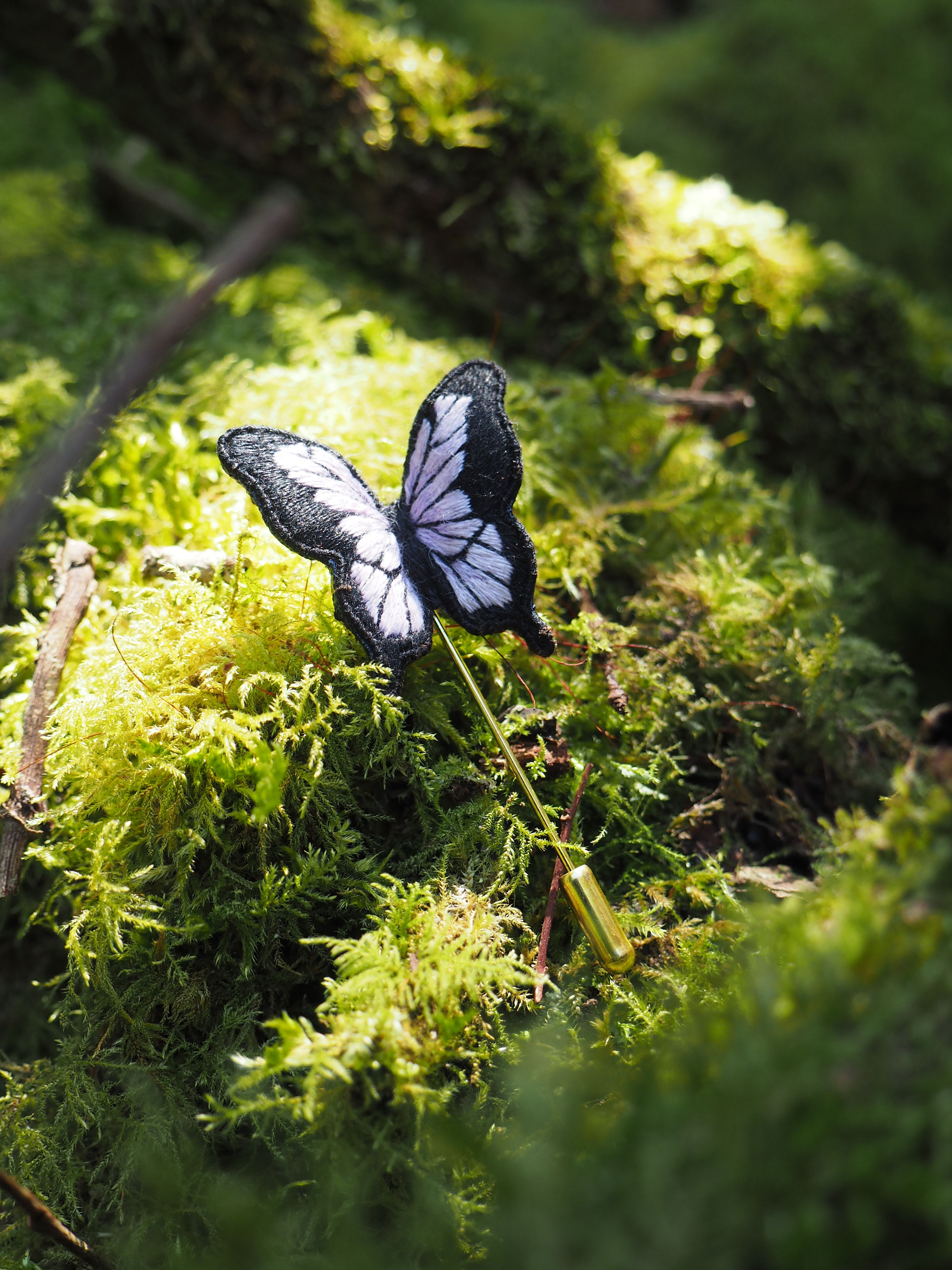 Cette image montre un magnifique papillon blanc et noir posé sur un lit de mousse verte luxuriante. La photo est prise en gros plan, ce qui permet d'apprécier les détails délicats des ailes du papillon. La mousse crée un fond naturel très vert et texturé, tandis que la lumière naturelle filtrée à travers le feuillage crée un effet doux et atmosphérique. Le contraste entre le papillon clair et le fond vert foncé rend l'image particulièrement saisissante. C'est une belle composition naturelle qui capture un moment paisible dans la nature.