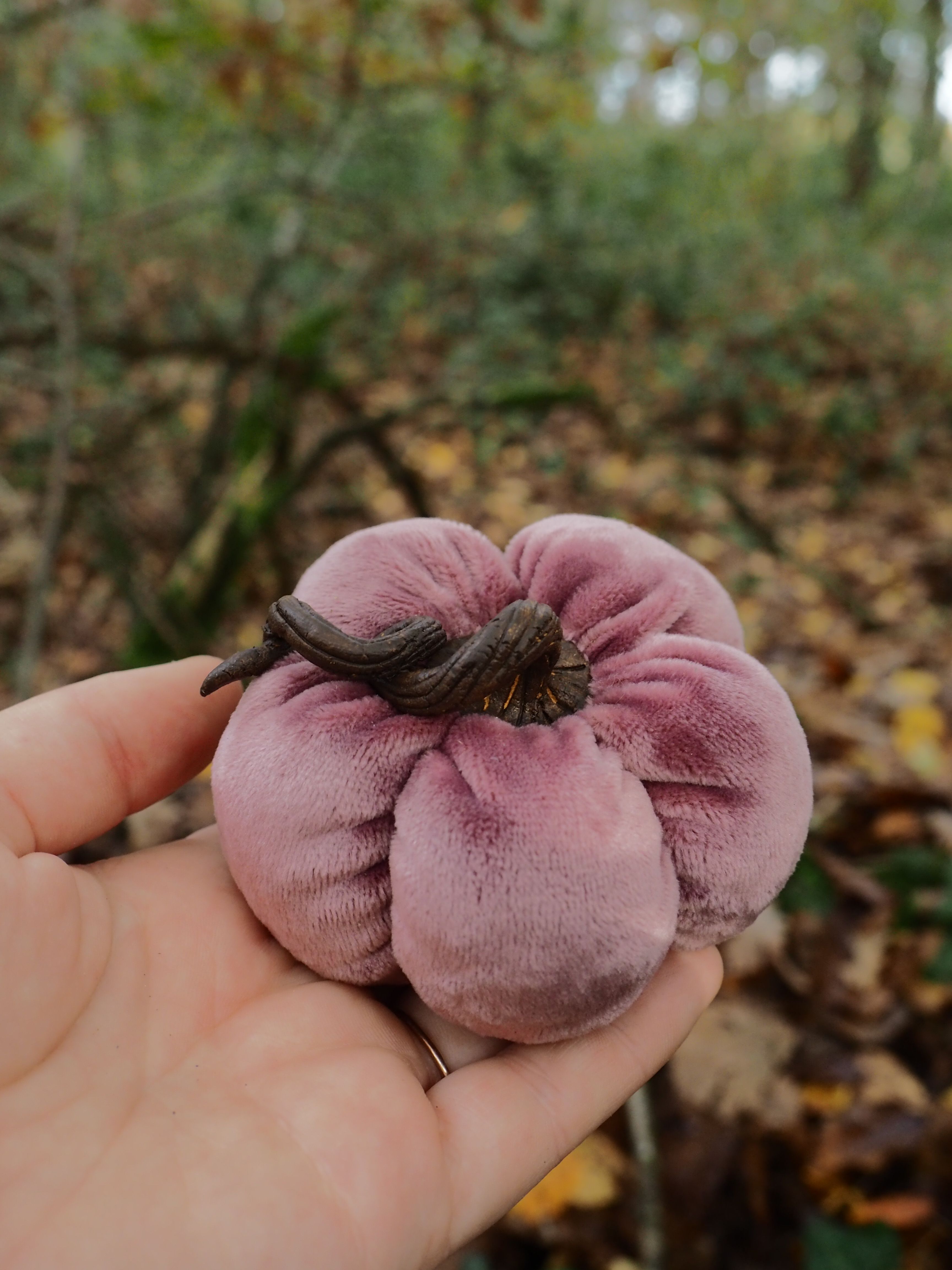 Cette image montre une main tenant délicatement un champignon de couleur rose-violacé dans un environnement forestier. Le champignon présente une forme arrondie et lobée, avec une texture qui semble douce et charnue. Sa couleur distinctive varie du rose pâle au violet plus soutenu, avec des nuances plus sombres vers le centre. L'arrière-plan est artistiquement flouté, révélant un sous-bois automnal avec des feuilles mortes au sol et une végétation dense. Cette technique photographique, appelée profondeur de champ, met parfaitement en valeur le spécimen fongique au premier plan. La main qui tient le champignon suggère sa taille relativement petite, probablement quelques centimètres de diamètre. L'éclairage naturel de la forêt crée une ambiance douce et met en relief les détails et la texture particulière de ce champignon aux couleurs inhabituelles. Cette photographie capture bien l'aspect mystérieux et la beauté naturelle que l'on peut découvrir lors d'une promenade en forêt, particulièrement durant la saison des champignons.