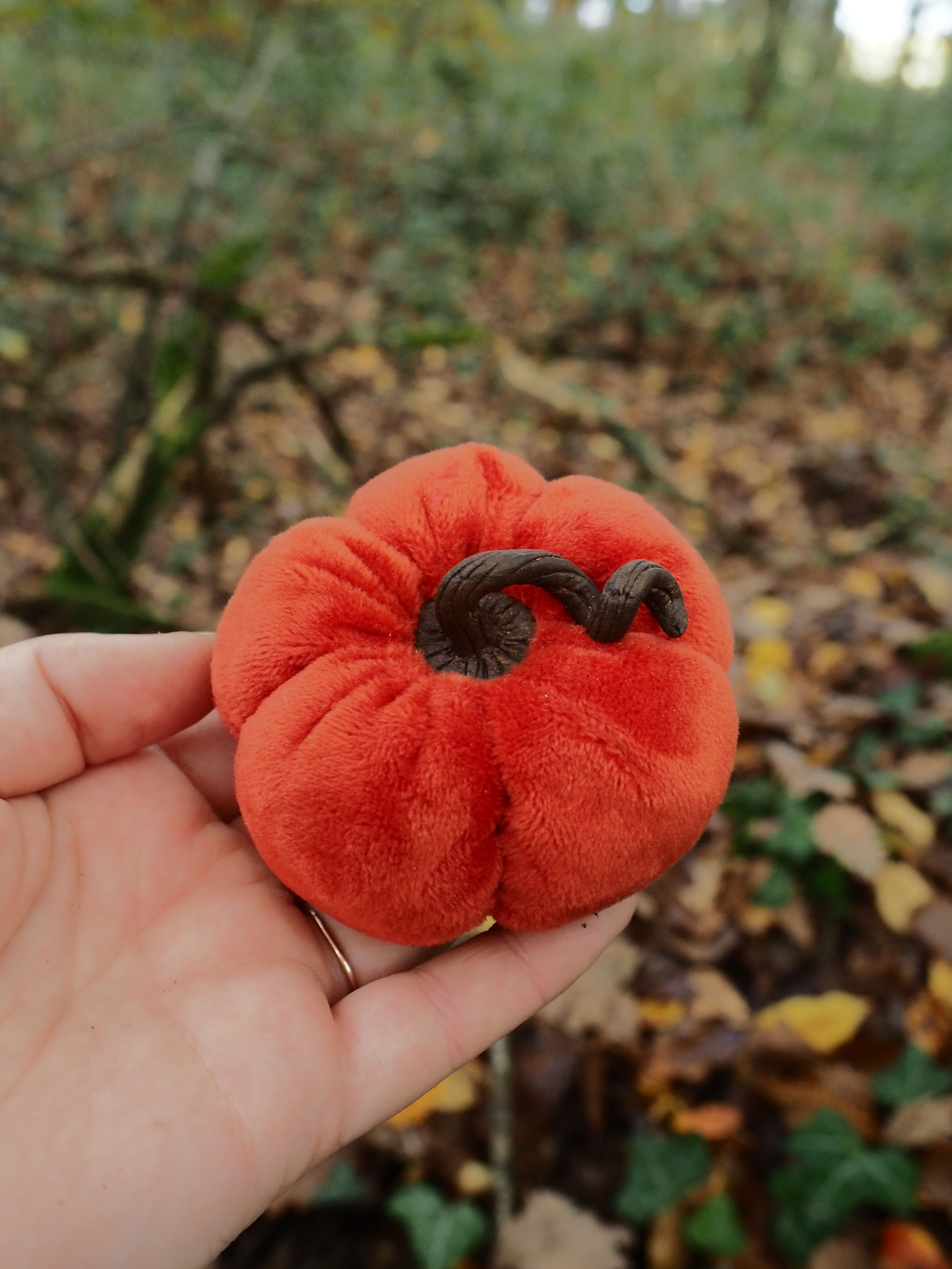 Cette image montre une main tenant un champignon rouge vif de forme arrondie et plissée. Le champignon présente une texture veloutée caractéristique avec des plis profonds qui lui donnent une apparence ridée, presque comme un cerveau miniature. Sa couleur rouge orangé est très saturée et frappante. Au centre du champignon, on peut observer une zone plus sombre, probablement l'ouverture par laquelle les spores sont libérées. La forme générale est globuleuse et compacte. L'arrière-plan montre un environnement forestier typique avec un sol couvert de feuilles mortes aux tons bruns et dorés, ainsi qu'une végétation verte floue. Cette scène suggère un habitat naturel humide propice à la croissance des champignons. Ce spécimen ressemble à un champignon de la famille des Sarcoscyphaceae, possiblement une espèce de "pézize écarlate" ou un champignon apparenté, connu pour sa couleur rouge distinctive et sa forme en coupe plissée. Ces champignons sont généralement saprophytes et se développent sur la matière organique en décomposition dans les forêts.