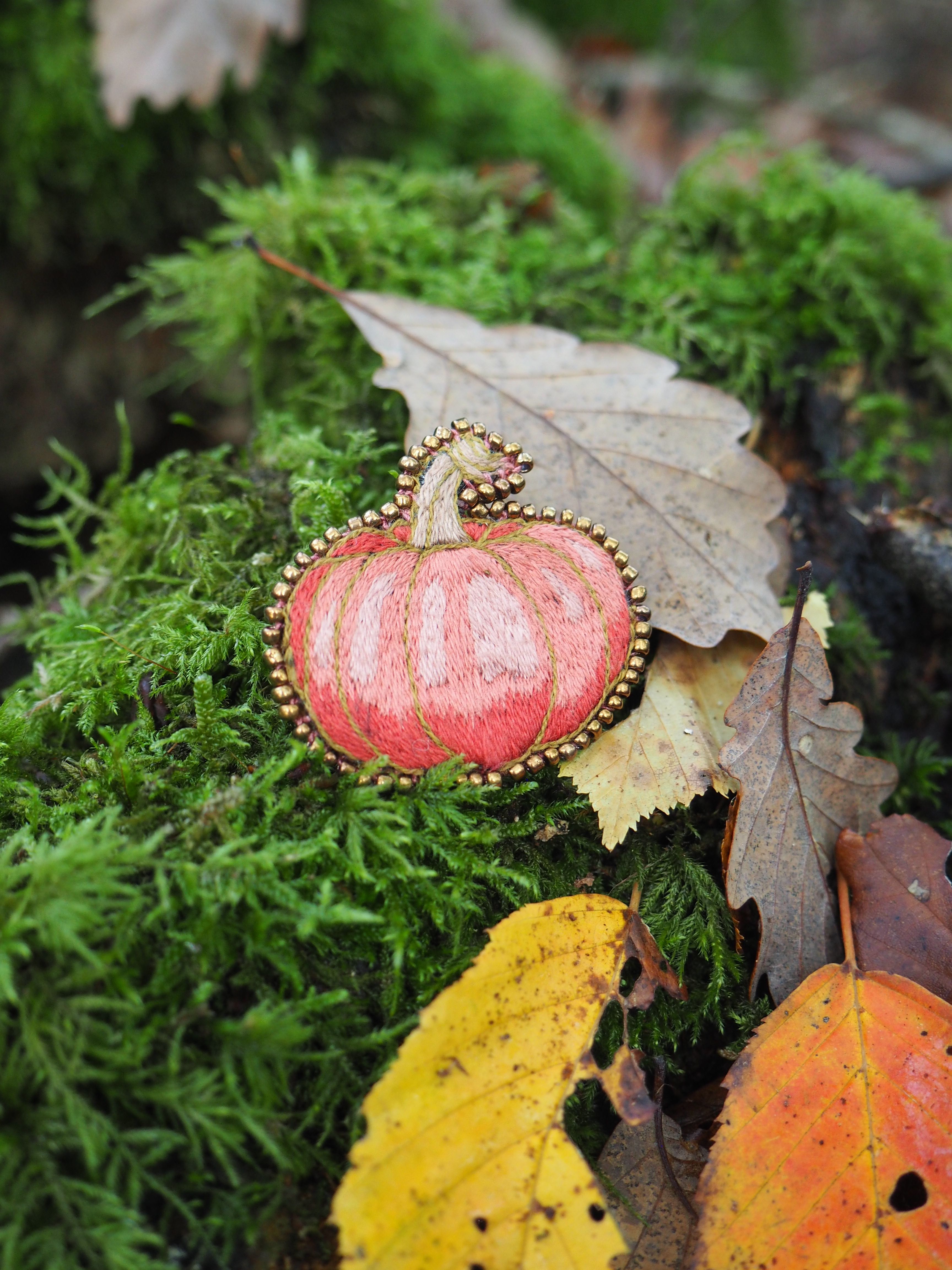 Cette image présente une scène automnale très pittoresque dans un environnement forestier. Au premier plan, on observe un champignon remarquable avec un chapeau rouge-rosé brillant et des bords ornés d'un liseré doré ou jaunâtre distinctif. Ce champignon semble être posé sur ou près d'un tronc d'arbre ou d'une branche. L'environnement est luxuriant avec de la mousse verte très dense qui tapisse le sol forestier, créant un tapis moelleux d'un vert éclatant. Plusieurs feuilles d'automne sont dispersées dans la scène - notamment des feuilles jaunes et orange qui contrastent magnifiquement avec le vert de la mousse. L'éclairage naturel met en valeur les textures et les couleurs, créant une atmosphère paisible et contemplative typique d'une forêt en automne. La composition suggère un écosystème forestier sain et diversifié, où champignons, mousse et végétation coexistent harmonieusement. Cette image capture parfaitement la beauté naturelle et les détails subtils qu'on peut découvrir lors d'une promenade attentive en forêt.