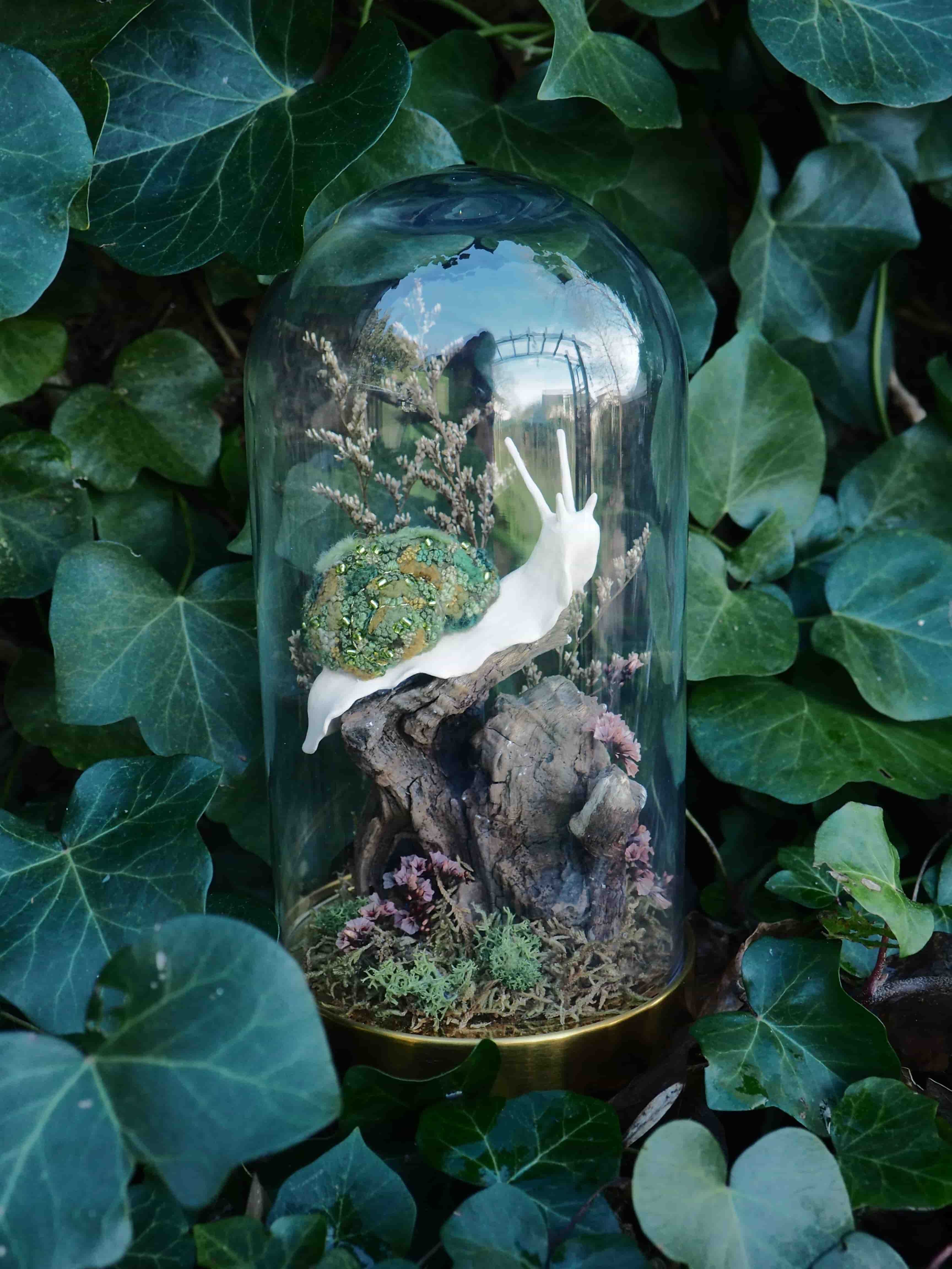 L'image présente une cloche en verre, ou dôme, abritant une scène miniature de nature, posée au milieu d'un feuillage vert luxuriant, probablement du lierre. À l'intérieur de la cloche, on peut voir une figurine de limace ou d'escargot, de couleur blanche avec une coquille texturée et colorée, principalement verte avec des touches de jaune et de marron. L'escargot est posé sur ce qui semble être un morceau de bois flotté ou une branche d'arbre, qui sert de support central à la composition. Autour de la base de ce support, il y a de la mousse verte et d'autres petites plantes ou éléments décoratifs de couleur pourpre ou marron clair, créant un petit écosystème. La cloche en verre est transparente et reflète légèrement l'environnement, notamment le feuillage environnant et peut-être une source de lumière au-dessus. La base de la cloche est dorée ou en laiton, ajoutant une touche d'élégance. L'ensemble de la scène est entouré de feuilles de lierre vert foncé, certaines en premier plan sont légèrement floues, ce qui met en valeur la cloche et son contenu. La lumière semble naturelle et douce, créant une ambiance sereine et un peu mystérieuse.