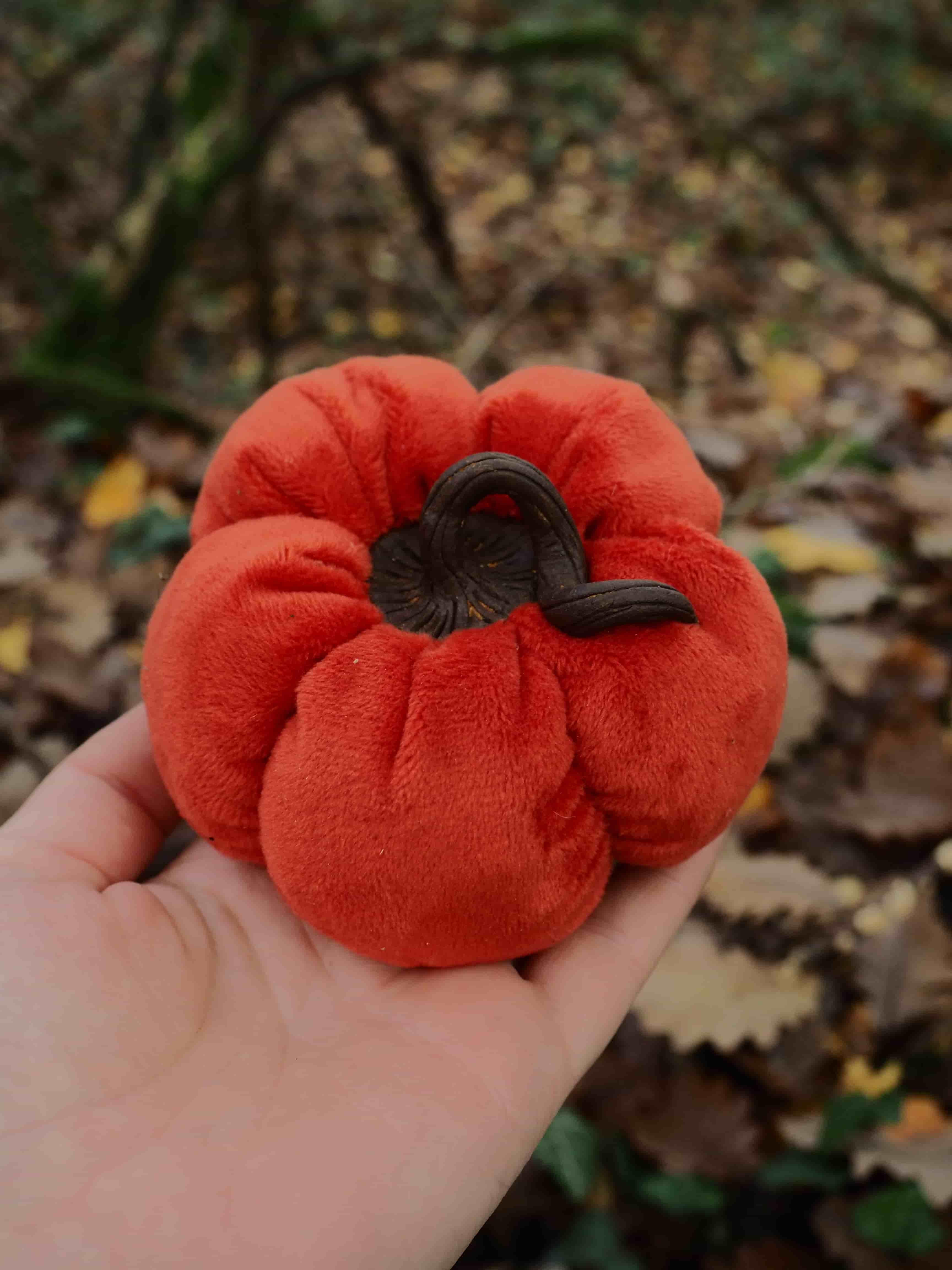 Cette image montre une main tenant un champignon très particulier et frappant. Il s'agit d'un champignon de couleur rouge vif avec une forme distinctive qui ressemble à une fleur ou à un coussin gonflé. Le champignon présente une surface plissée et lobée, avec ce qui semble être une ouverture centrale sombre. La couleur rouge éclatante du champignon contraste magnifiquement avec l'environnement forestier en arrière-plan, où l'on peut voir des feuilles mortes au sol et de la végétation. L'éclairage naturel met en valeur la texture veloutée et la forme unique de ce spécimen. Ce type de champignon aux formes et couleurs si particulières fait partie de ces curiosités naturelles que l'on peut découvrir en forêt. La photographie capture bien les détails de sa structure inhabituelle et sa couleur saisissante qui le distingue nettement de son environnement naturel. L'image illustre la diversité fascinante du monde fongique et la beauté surprenante que l'on peut trouver dans la nature.