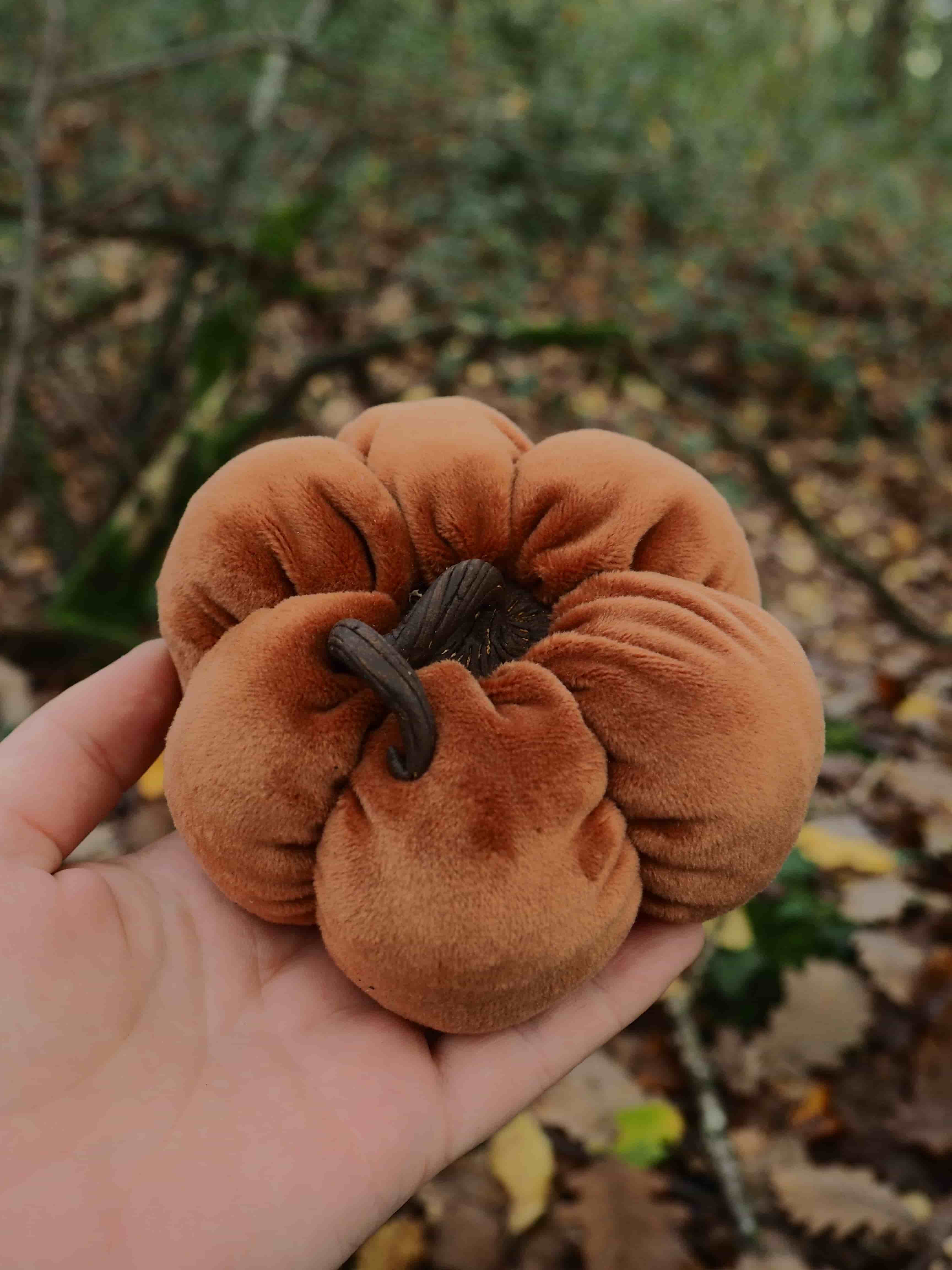 Cette image montre une main tenant délicatement un champignon de couleur brun-orangé. Le champignon présente une forme caractéristique avec des lobes arrondis qui lui donnent un aspect ondulé ou plissé, rappelant une fleur ou une oreille. Sa surface paraît lisse et veloutée. L'arrière-plan est flou mais laisse deviner un environnement forestier typique avec un sol jonché de feuilles mortes aux teintes automnales - brunes, jaunes et orangées. On peut également apercevoir de la végétation verte floue en arrière-plan. La photographie semble prise en extérieur, probablement en automne, dans un cadre naturel propice à la croissance des champignons. La mise au point est nette sur le champignon et la main, créant un bel effet de profondeur de champ qui met en valeur le spécimen trouvé. Cette composition photographique met en évidence la beauté naturelle et la forme particulière de ce champignon sauvage dans son environnement forestier.