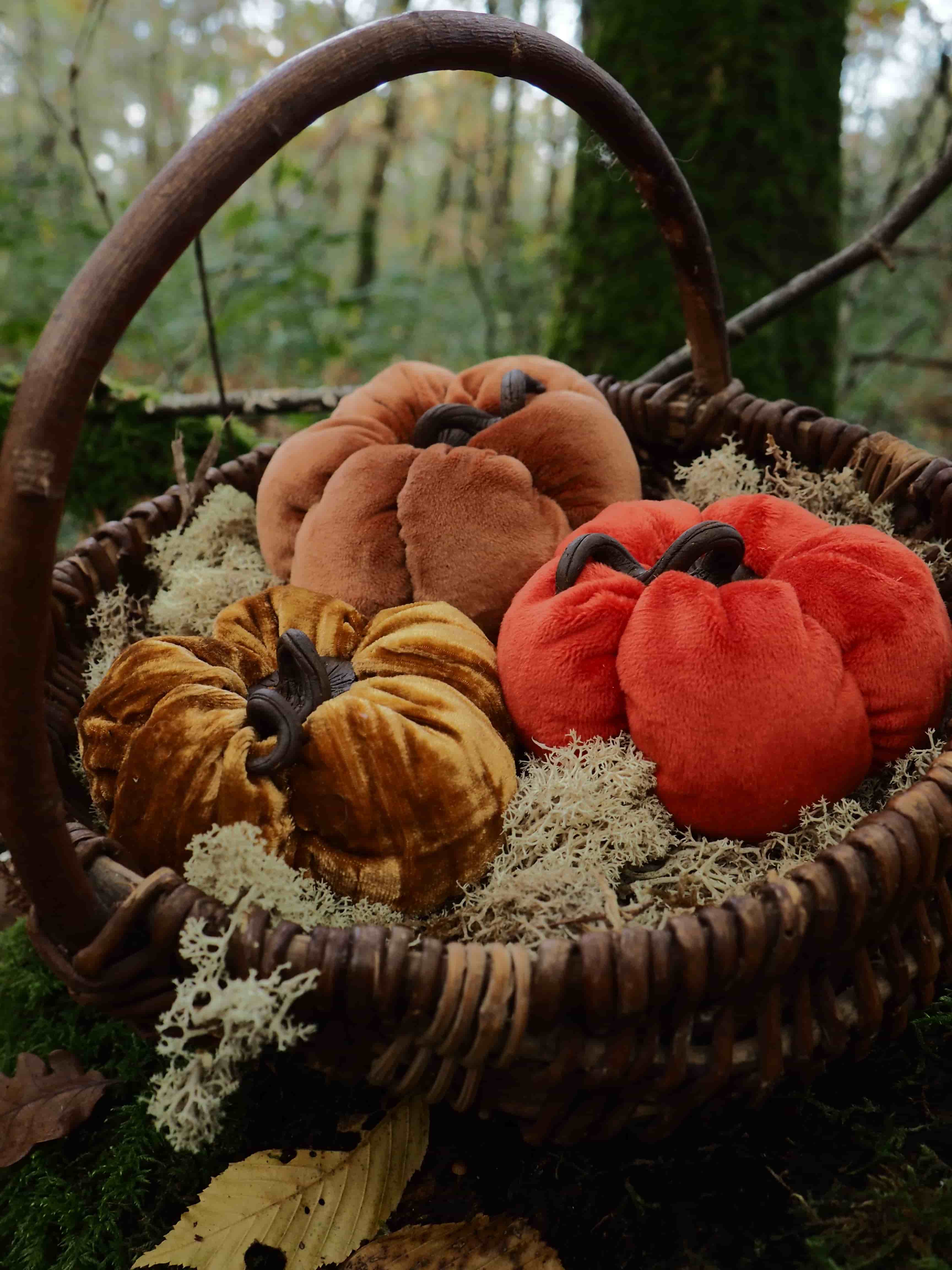 Cette image présente une charmante composition automnale dans un cadre naturel forestier. Au centre, on voit un panier en osier tressé avec une anse arquée, posé sur ce qui semble être un tronc d'arbre recouvert de mousse verte. Le panier contient plusieurs citrouilles décoratives en tissu ou en velours dans des tons chauds d'automne :
- Des citrouilles orange traditionnelles
- Des citrouilles dans des teintes brun-rouille
- Une citrouille rouge-orange plus vive
- Quelques petites courges rayées jaune et brun Le panier est également garni de mousse décorative qui déborde légèrement, ajoutant une texture naturelle à l'ensemble. L'arrière-plan montre une forêt aux tons dorés et verts, avec un feuillage automnal qui crée une atmosphère douce et tamisée. Cette mise en scène évoque parfaitement l'esprit de l'automne et des fêtes comme Halloween ou Thanksgiving, avec ses couleurs chaudes et son ambiance rustique et naturelle.