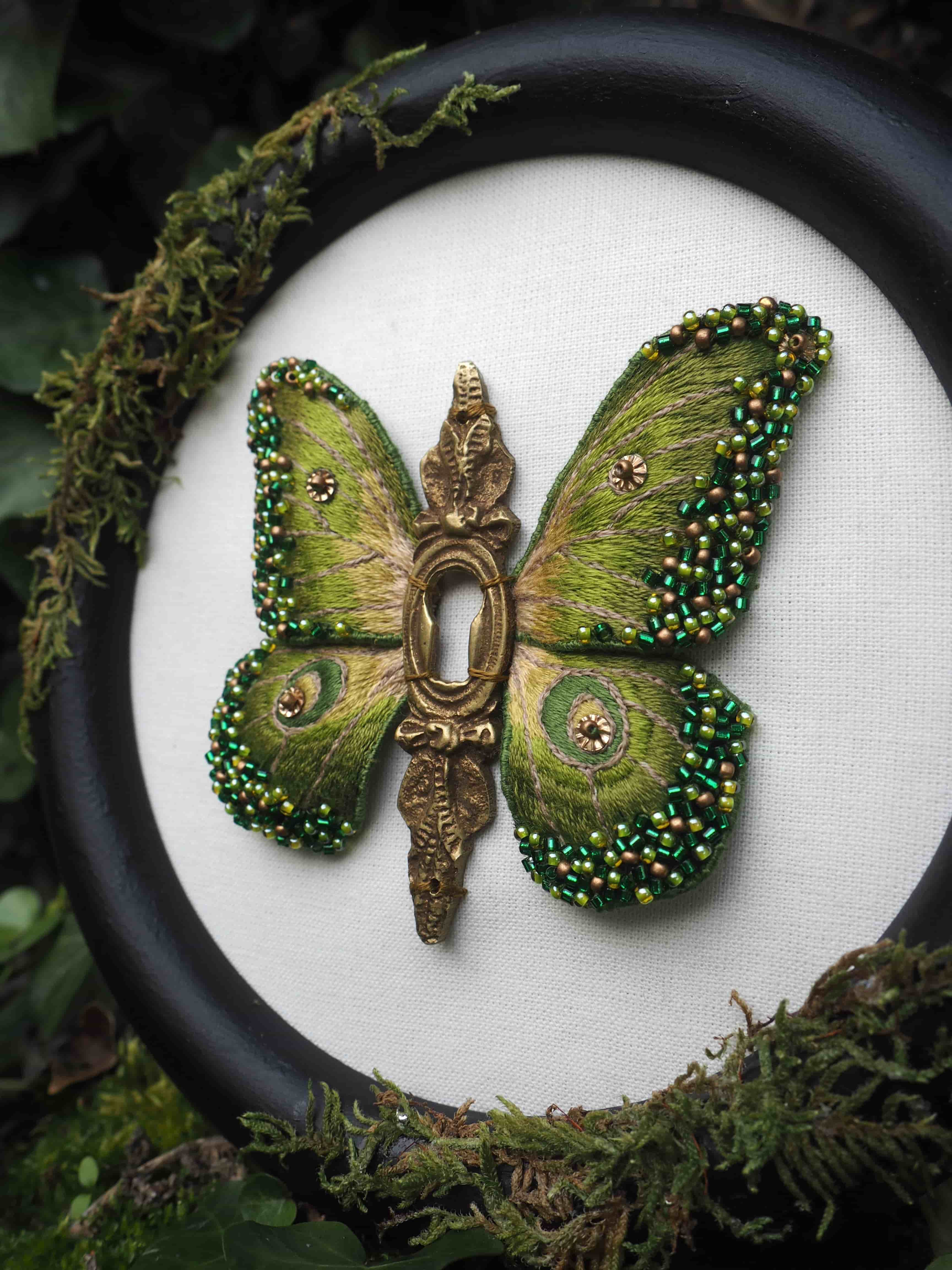 Pollinisateur, Insecte, Papillon, Arthropode, Usine, Créature mythique, Botanique, Papillons et mites, Organisme, Aile