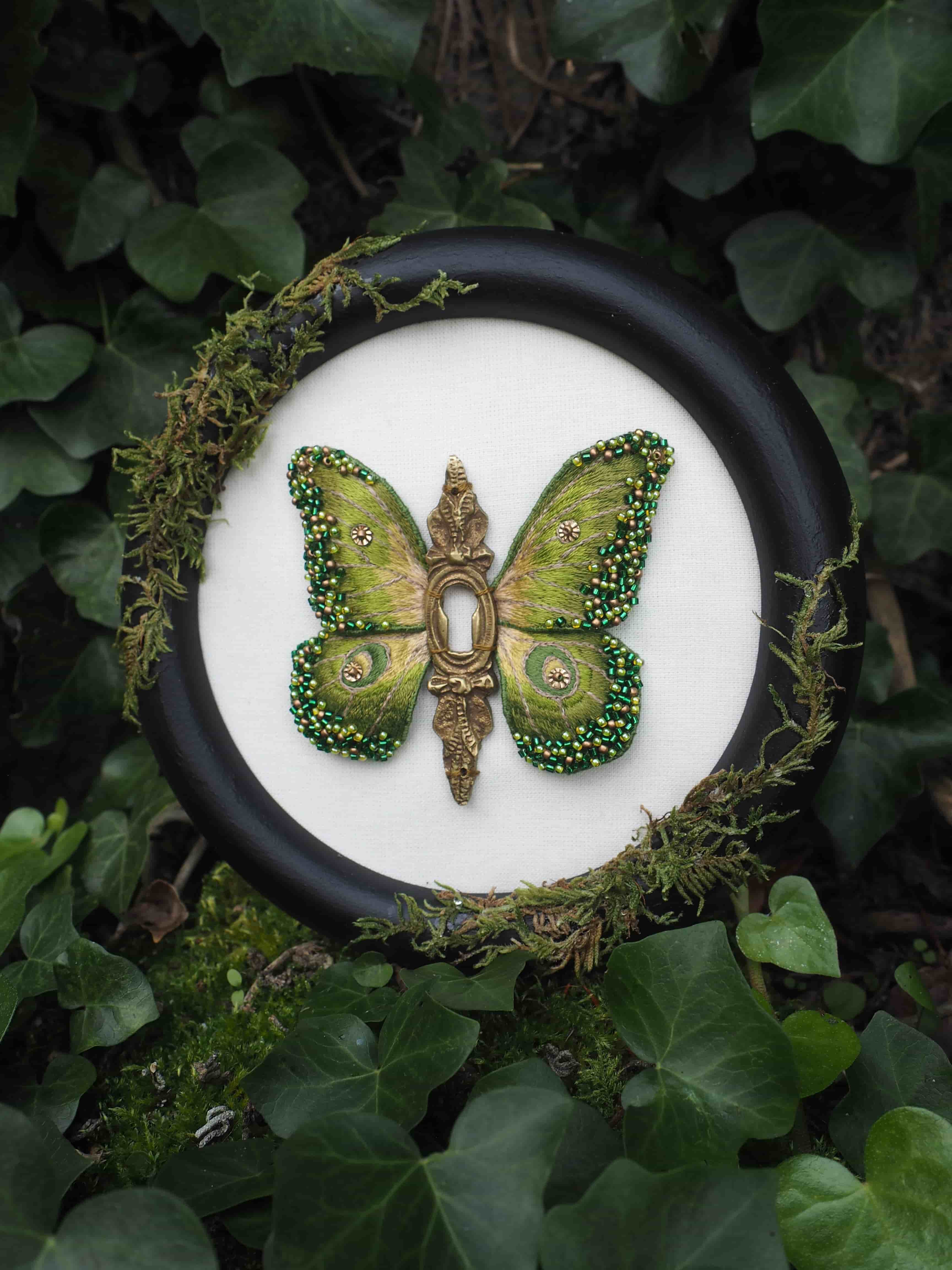 Brun, Pollinisateur, Insecte, Arthropode, Papillon, Botanique, Feuille, Papillons et mites, Usine, Organisme
