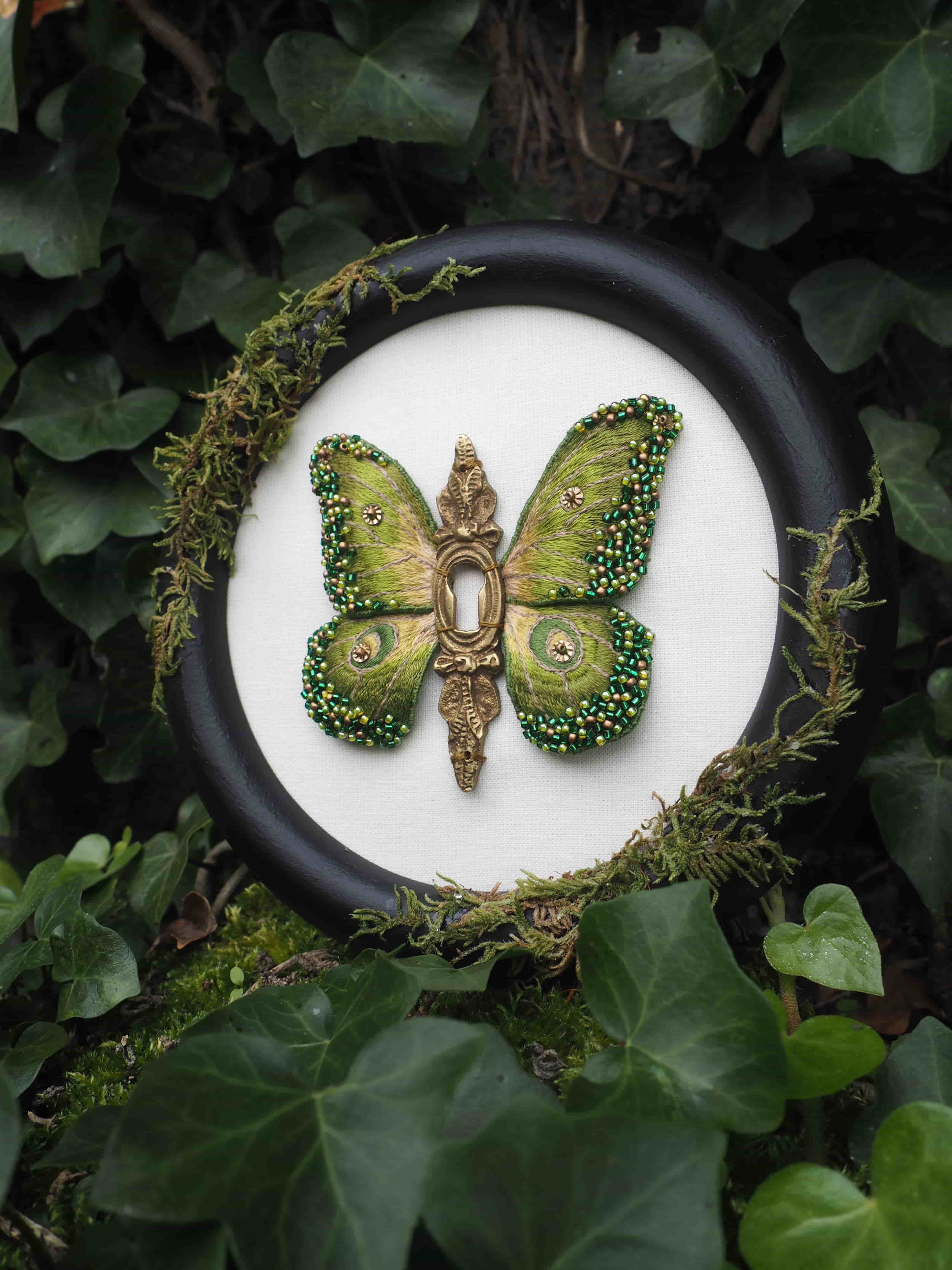 Pollinisateur, Insecte, Papillon, Arthropode, Feuille, Botanique, Papillons et mites, Aile, Usine, Plante terrestre