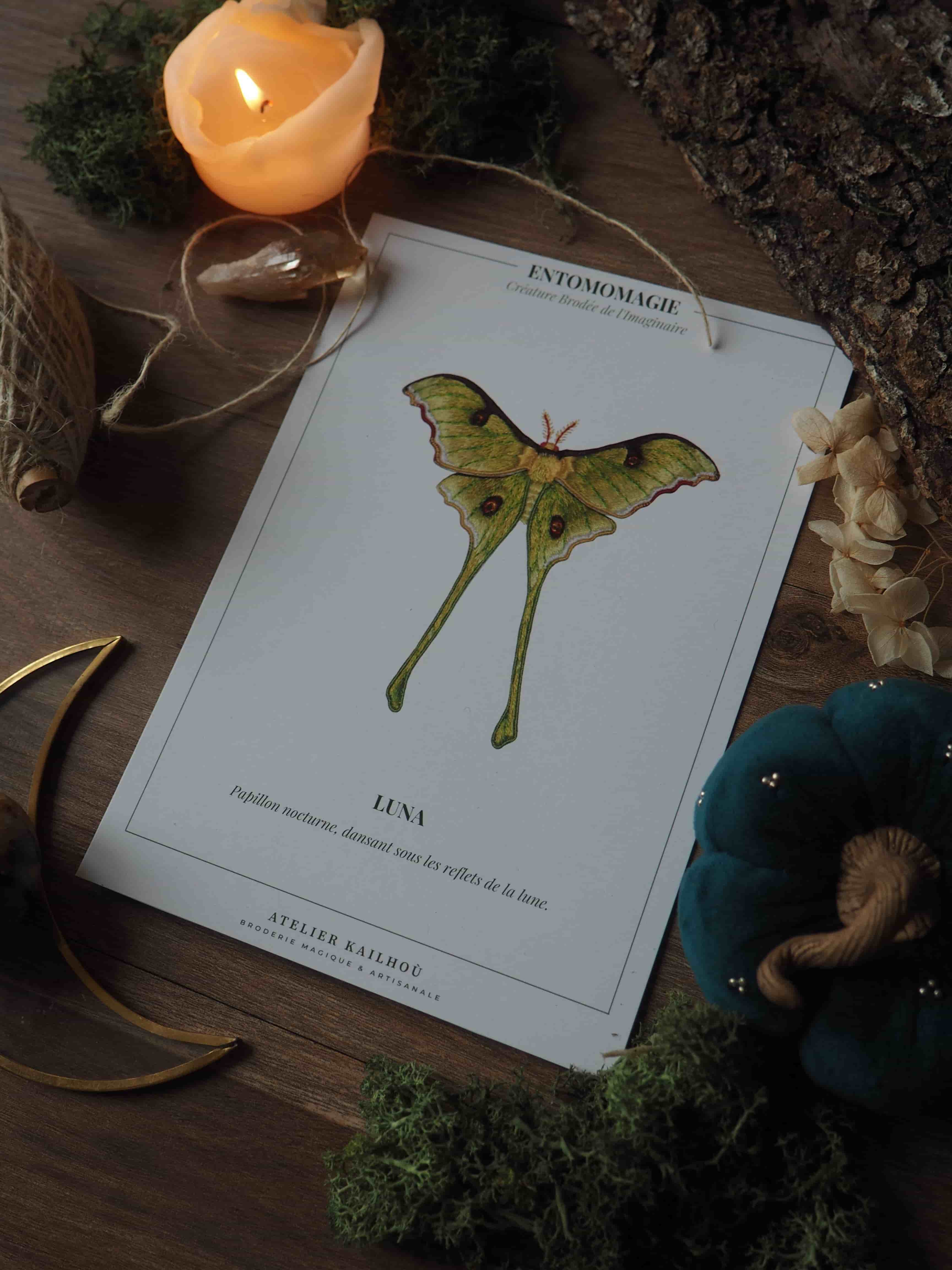 L'image montre une composition artistique et naturaliste sur une surface en bois. Au centre, on voit une page d'un livre ou d'un guide d'entomologie intitulé "ENTOMOLOGIE" avec l'illustration détaillée d'un papillon vert appelé "LUNA". Ce papillon luna est représenté avec ses ailes déployées et ses longues queues caractéristiques. Autour de cette illustration centrale, on trouve divers éléments naturels et décoratifs : 1. Une bougie allumée dans un petit récipient orange, diffusant une lumière douce.
2. Des morceaux de mousse ou de lichen vert.
3. Ce qui semble être des plumes ou des éléments végétaux séchés.
4. Un objet bleu foncé, peut-être une pierre ou un autre élément décoratif. L'ensemble crée une ambiance mystérieuse et naturelle, comme si on explorait un cabinet de curiosités ou préparait une étude scientifique dans un cadre romantique. La lumière tamisée de la bougie ajoute une atmosphère chaleureuse et intime à la scène.