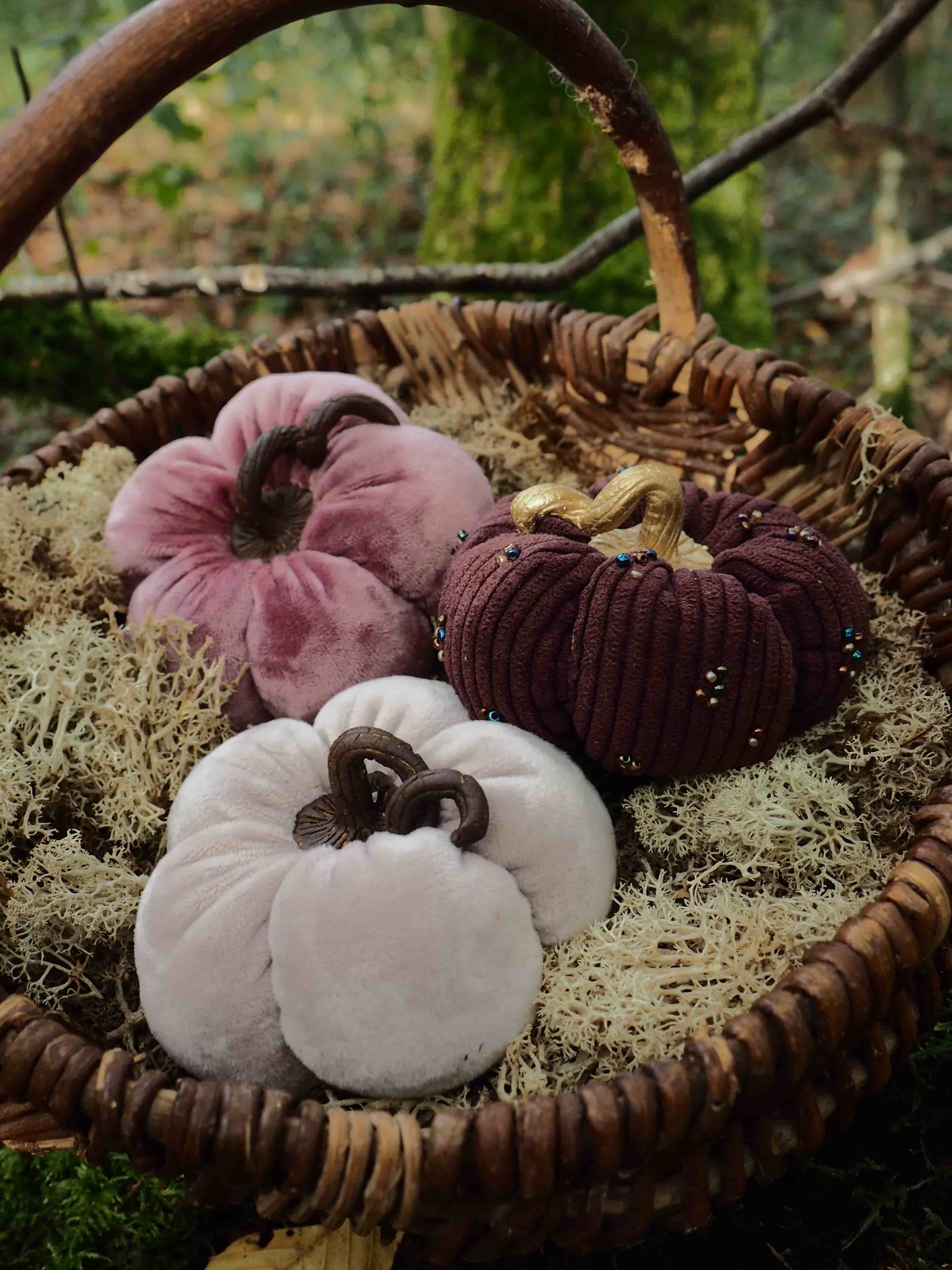 Cette image présente une composition automnale très décorative dans un panier en osier tressé. Le panier contient plusieurs courges ornementales de différentes couleurs et formes : - Une courge blanche au premier plan, de forme aplatie avec des côtes prononcées
- Une courge rose/mauve de forme similaire 
- Une courge bordeaux/violet foncé avec une texture côtelée
- Ce qui semble être une petite courge ou un fruit décoratif doré/jaune Le panier est posé sur ce qui paraît être de la mousse ou un matériau naturel texturé. L'arrière-plan est artistiquement flouté, laissant entrevoir de la verdure, ce qui crée une belle profondeur de champ. L'ensemble évoque parfaitement l'esprit de l'automne avec ses couleurs chaudes et ses éléments naturels. Cette mise en scène décorative pourrait être utilisée comme centre de table ou élément de décoration saisonnière. L'éclairage naturel met bien en valeur les différentes textures et couleurs des courges ainsi que le tressage du panier.