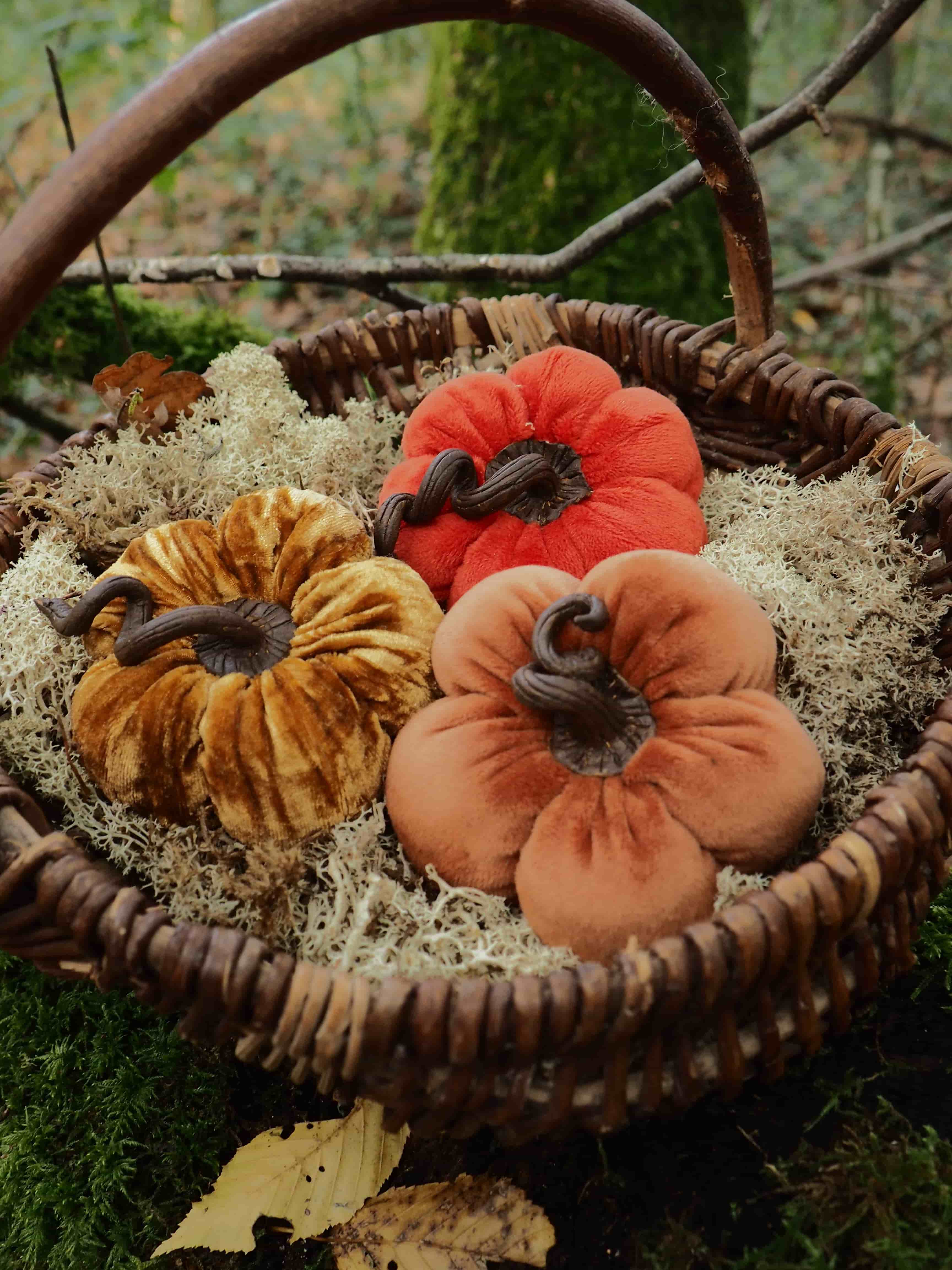 Cette image présente une composition automnale très décorative. On y voit un panier en osier tressé de couleur brune, avec une anse arquée, posé sur ce qui semble être de la mousse ou un tapis végétal. À l'intérieur du panier se trouvent trois citrouilles décoratives de différentes couleurs :
- Une citrouille orange vif
- Une citrouille de couleur pêche/saumon
- Une citrouille jaune/dorée avec des côtes très marquées Le panier contient également ce qui ressemble à de la mousse séchée ou un matériau décoratif de couleur claire qui fait office de garnissage. L'ensemble est disposé dans un environnement naturel, avec des branches et de la végétation visible en arrière-plan, créant une atmosphère rustique et saisonnière typique de l'automne. Une feuille morte est également visible au premier plan, renforçant le thème automnal de cette nature morte décorative. Cette composition évoque les décorations traditionnelles d'Halloween ou de Thanksgiving, avec ses couleurs chaudes et ses éléments naturels.