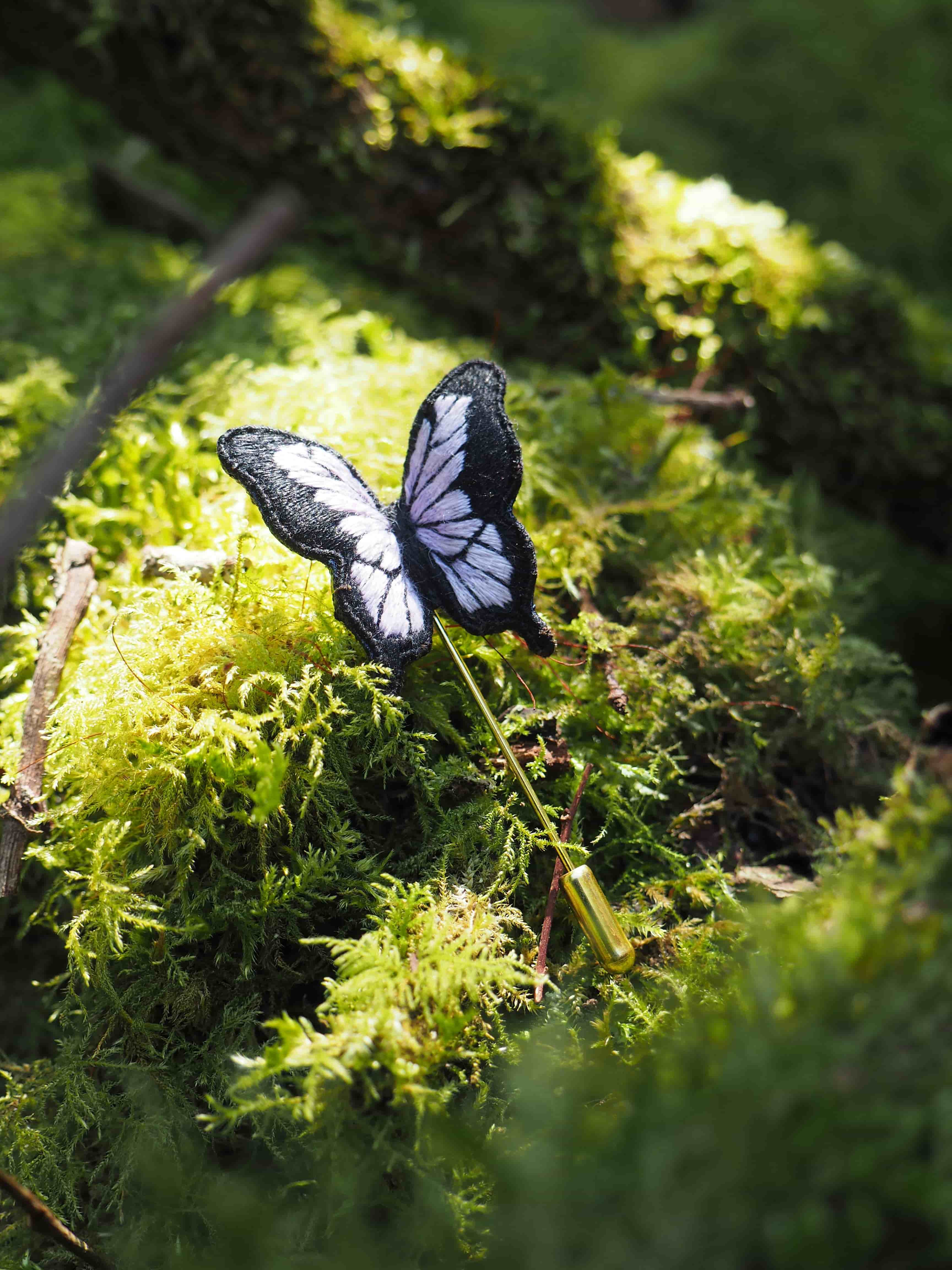 Cette image montre un magnifique papillon blanc et noir posé sur un lit de mousse verte luxuriante. La photo est prise en gros plan, ce qui permet d'apprécier les détails délicats des ailes du papillon. La mousse crée un fond naturel très vert et texturé, tandis que la lumière naturelle filtrée à travers le feuillage crée un effet doux et atmosphérique. Le contraste entre le papillon clair et le fond vert foncé rend l'image particulièrement saisissante. C'est une belle composition naturelle qui capture un moment paisible dans la nature.
