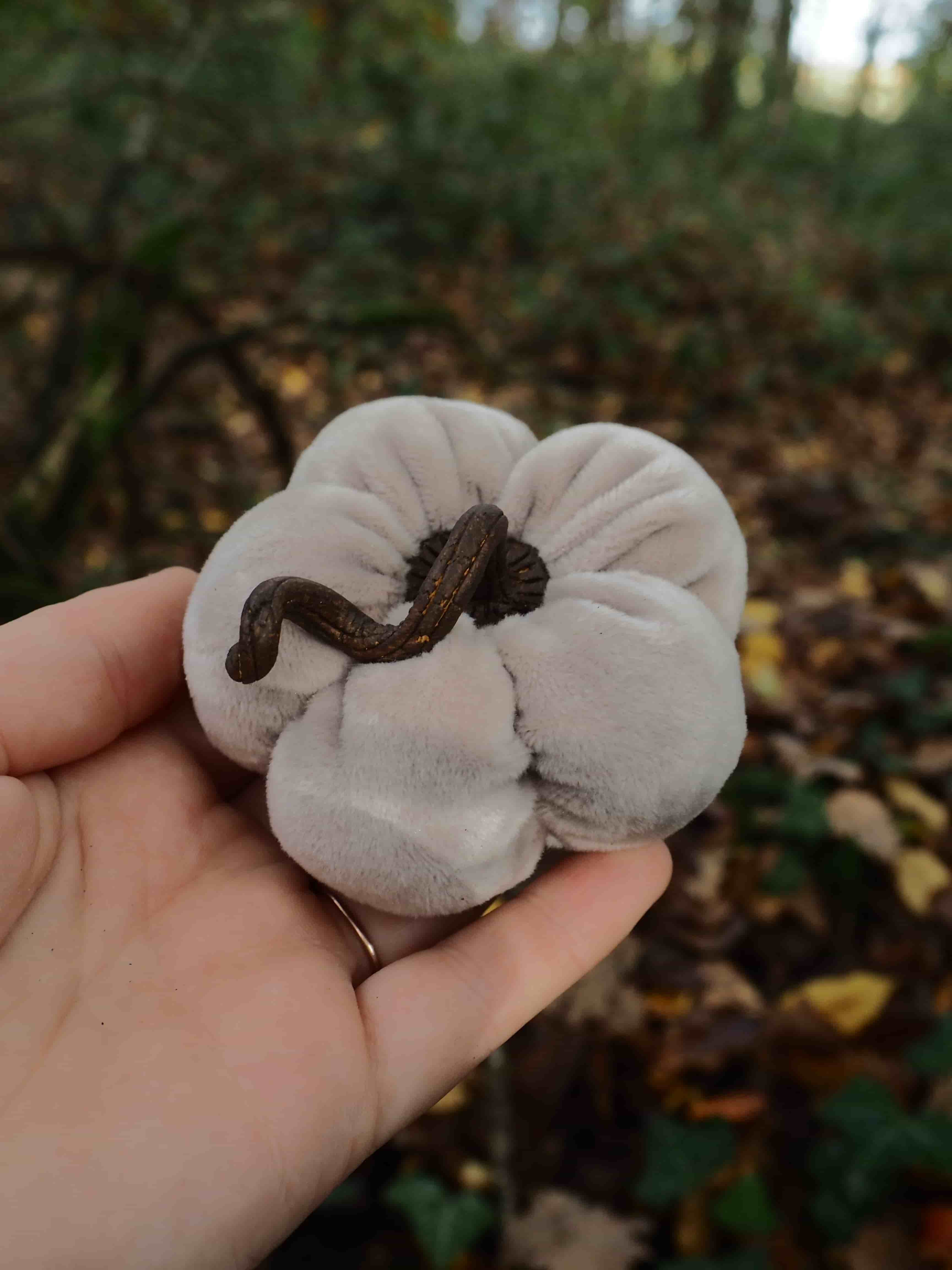 Cette image montre une main tenant délicatement un petit animal, probablement un jeune lézard ou une salamandre, de couleur sombre. L'animal repose sur ce qui semble être un gant ou un tissu blanc dans la paume de la main, créant un contraste saisissant entre sa couleur foncée et le fond clair. L'arrière-plan présente un environnement naturel flou avec de la végétation verte, des feuilles au sol et ce qui ressemble à un sentier ou un chemin forestier. La profondeur de champ est utilisée artistiquement pour mettre l'accent sur le petit animal au premier plan, tandis que l'environnement boisé reste dans un flou artistique. La composition suggère une rencontre délicate avec la faune sauvage, capturée dans un moment de proximité respectueuse avec la nature. L'éclairage naturel et doux indique que la photo a été prise en extérieur, probablement pendant la journée dans un environnement forestier ou boisé.