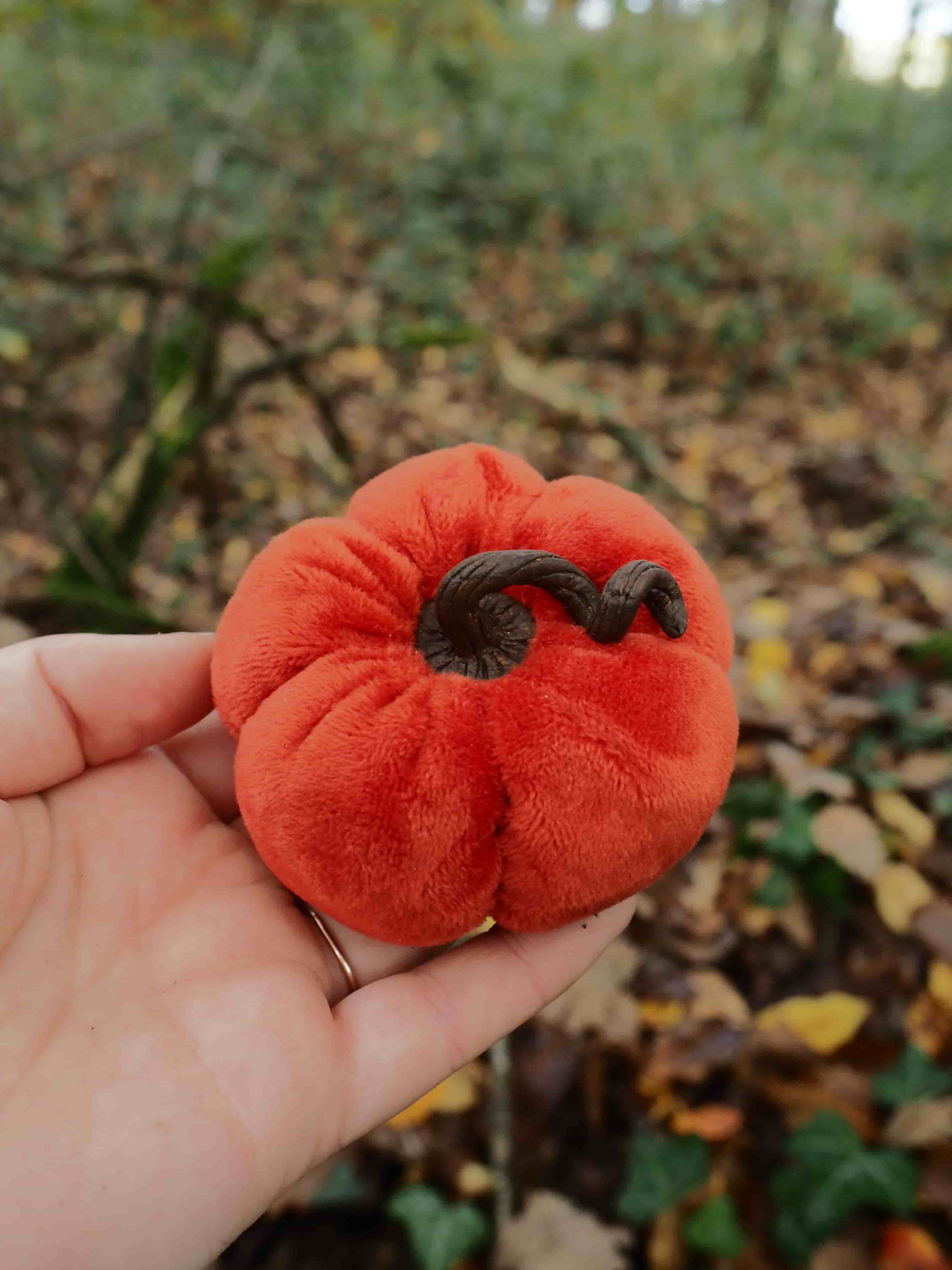 Cette image montre une main tenant un champignon rouge vif de forme arrondie et plissée. Le champignon présente une texture veloutée caractéristique avec des plis profonds qui lui donnent une apparence ridée, presque comme un cerveau miniature. Sa couleur rouge orangé est très saturée et frappante. Au centre du champignon, on peut observer une zone plus sombre, probablement l'ouverture par laquelle les spores sont libérées. La forme générale est globuleuse et compacte. L'arrière-plan montre un environnement forestier typique avec un sol couvert de feuilles mortes aux tons bruns et dorés, ainsi qu'une végétation verte floue. Cette scène suggère un habitat naturel humide propice à la croissance des champignons. Ce spécimen ressemble à un champignon de la famille des Sarcoscyphaceae, possiblement une espèce de "pézize écarlate" ou un champignon apparenté, connu pour sa couleur rouge distinctive et sa forme en coupe plissée. Ces champignons sont généralement saprophytes et se développent sur la matière organique en décomposition dans les forêts.