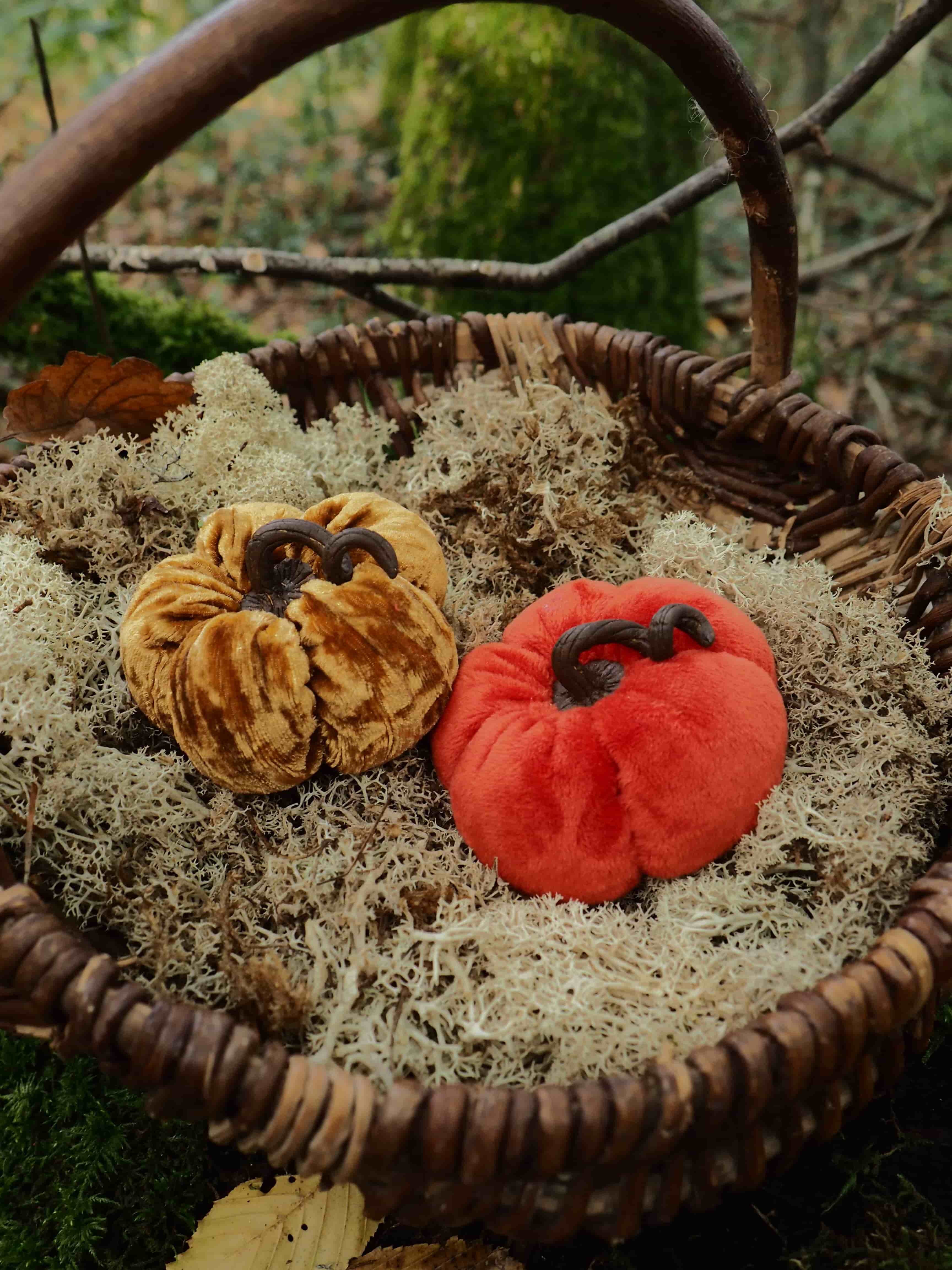 Cette image montre un panier en osier tressé de forme ronde, placé dans un environnement extérieur verdoyant. À l'intérieur du panier, on peut voir ce qui semble être de la terre ou du terreau, dans lequel sont disposés deux objets circulaires qui ressemblent à des citrouilles miniatures ou des courges décoratives. L'un des objets est de couleur orange/dorée avec des rainures caractéristiques, tandis que l'autre est d'un rouge vif. Ces éléments évoquent une décoration automnale ou d'Halloween. Le panier possède une anse arquée en osier et semble être posé sur un sol naturel avec de la végétation visible en arrière-plan, créant une ambiance champêtre et saisonnière. La composition suggère une mise en scène décorative, peut-être pour une fête d'automne ou simplement comme élément ornemental dans un jardin ou un espace extérieur.