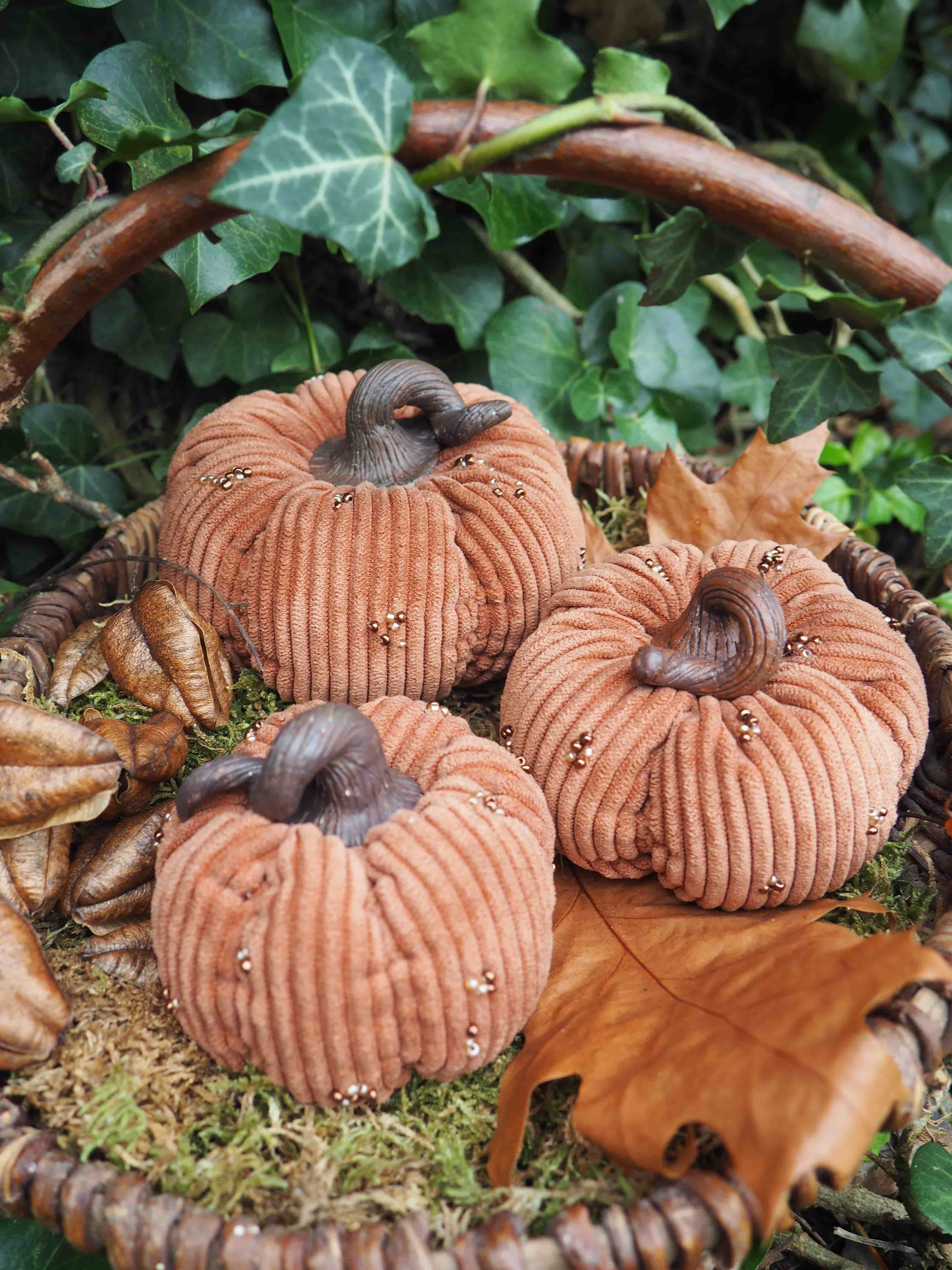 Usine, Citrouille, Feuille, Nature, Botanique, Citrouille, Bois, Herbe, Gourde, Squash