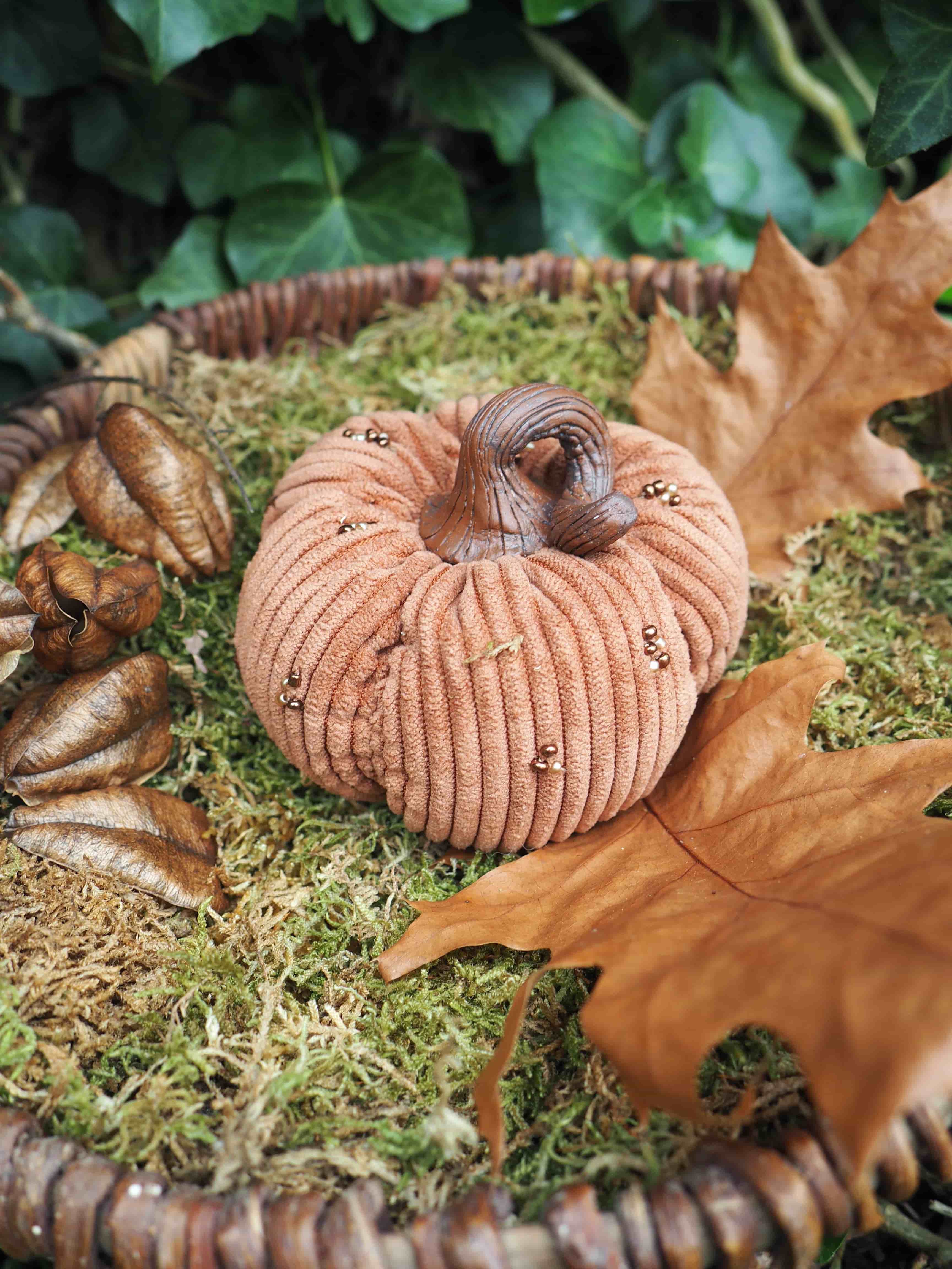 Usine, Bois, Organisme, Plante terrestre, Citrouille, Citrouille, Aliments naturels, Couvre-sol, Légume, Matériau naturel