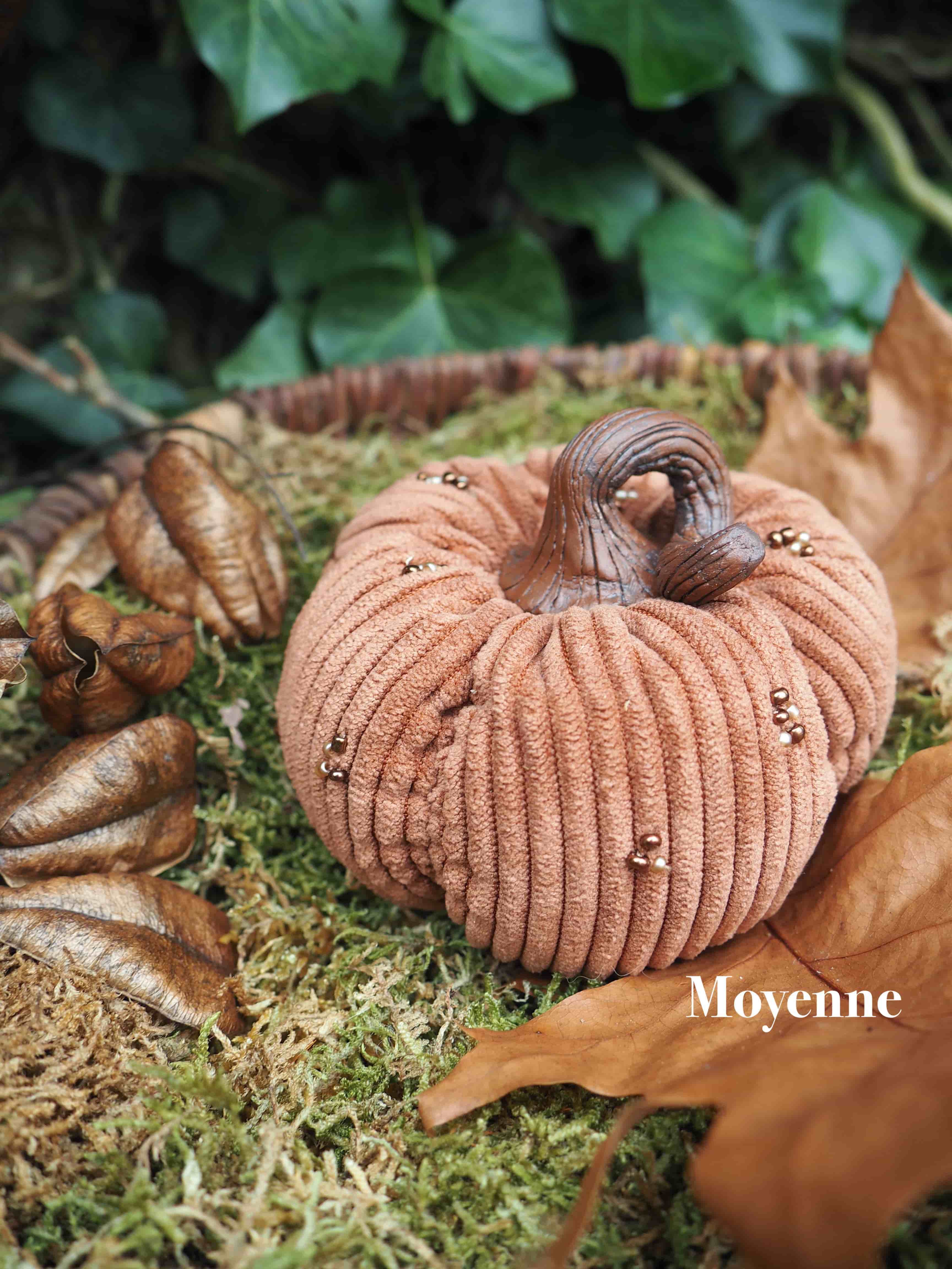 Nourriture, Aliments naturels, Citrouille, Usine, Bois, Squash, Herbe, Citrouille, Légume, Plante terrestre